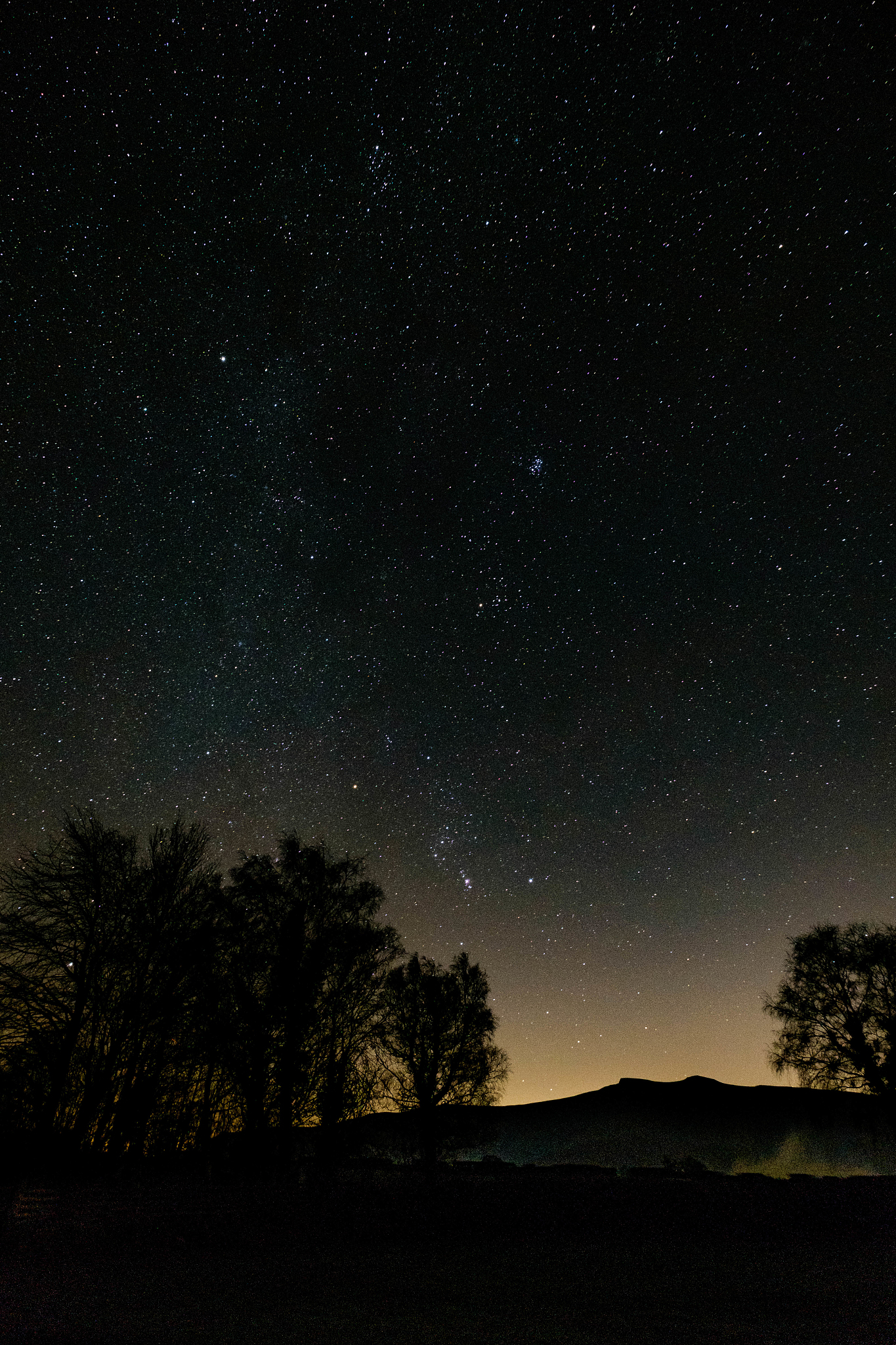 trees against sky at night