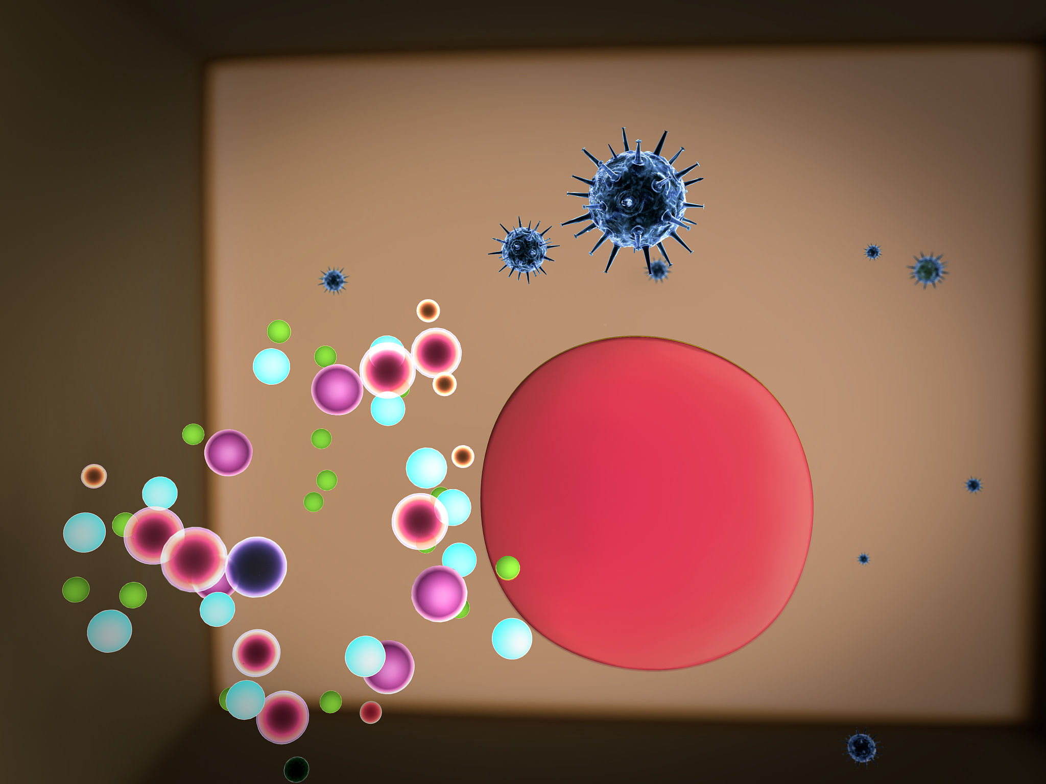 目的基因稳定遗传到受体细胞的关键因素