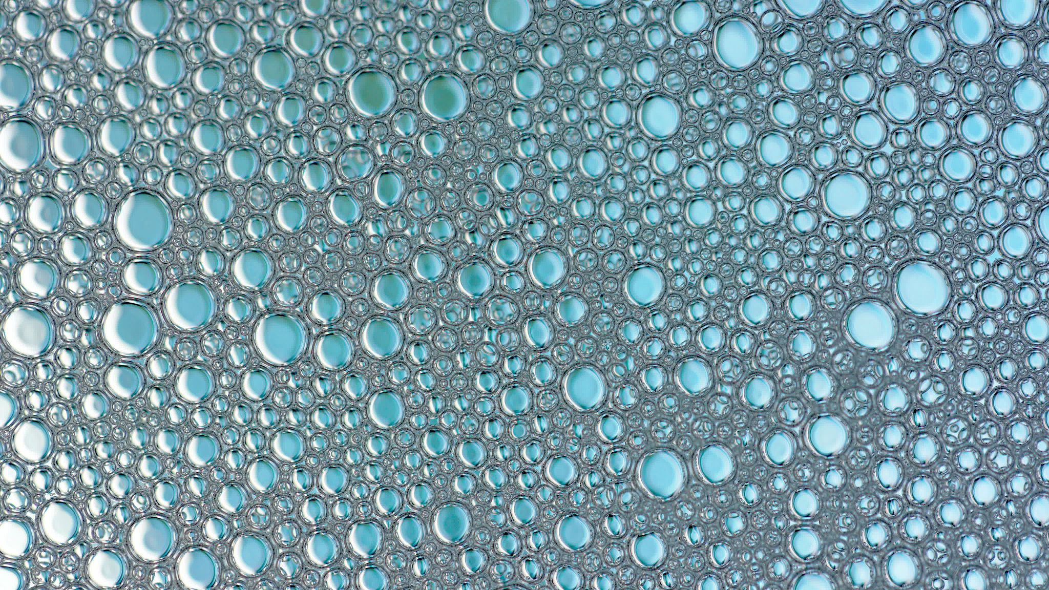 三年级做小实验的过程