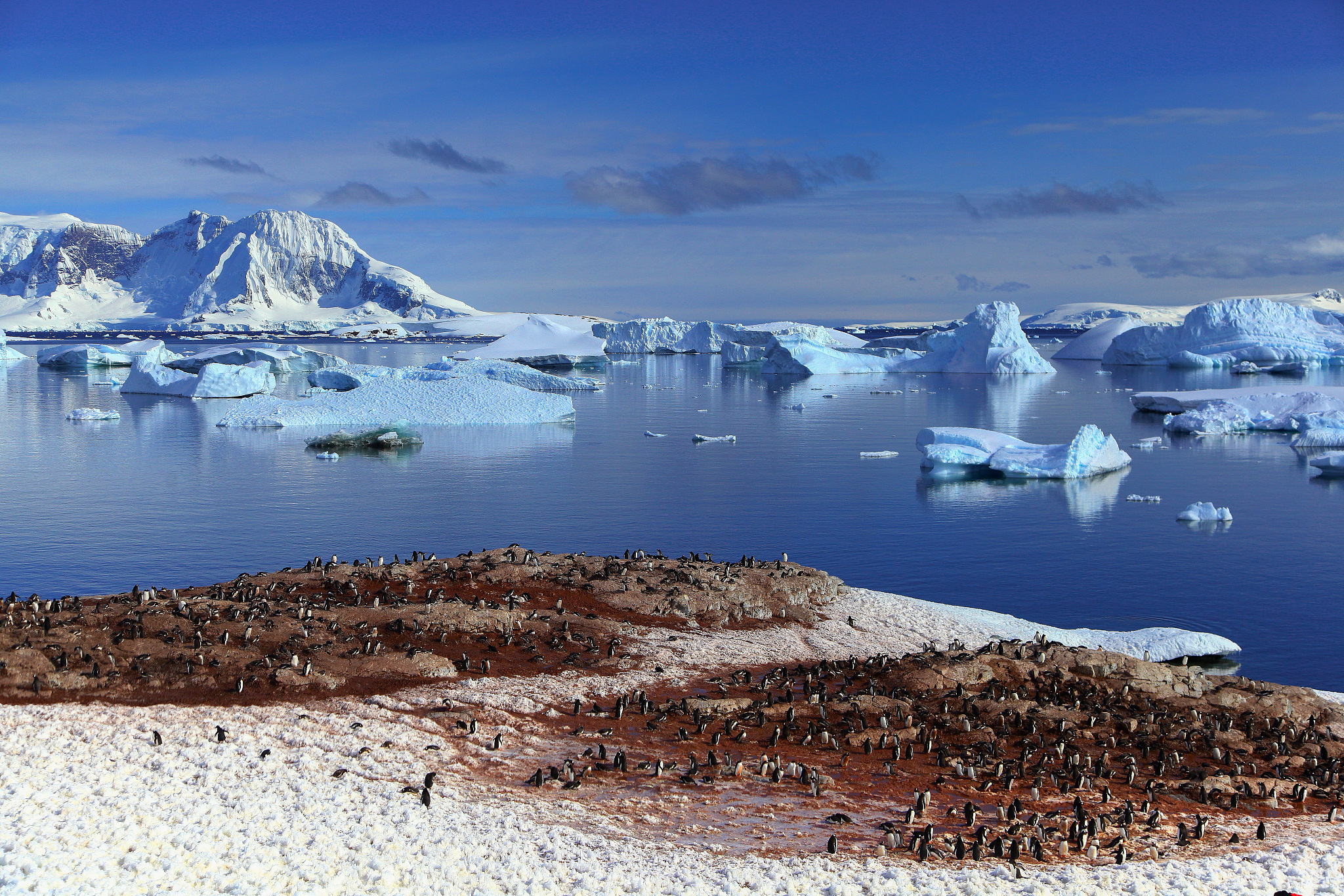 大洋洲的国家有没有下雪？