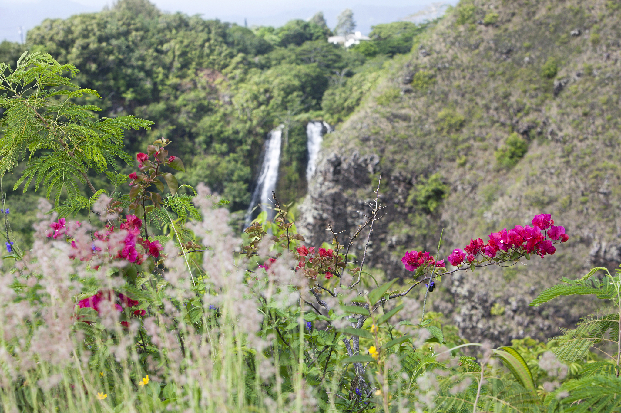 lua语言里TUNINGOCEANFISHINGROD_E = TUNINGOCEANFISHINGROD_E or TUNINGOCEANFISHINGROD_Eoceanfishingrod = requireevent_table