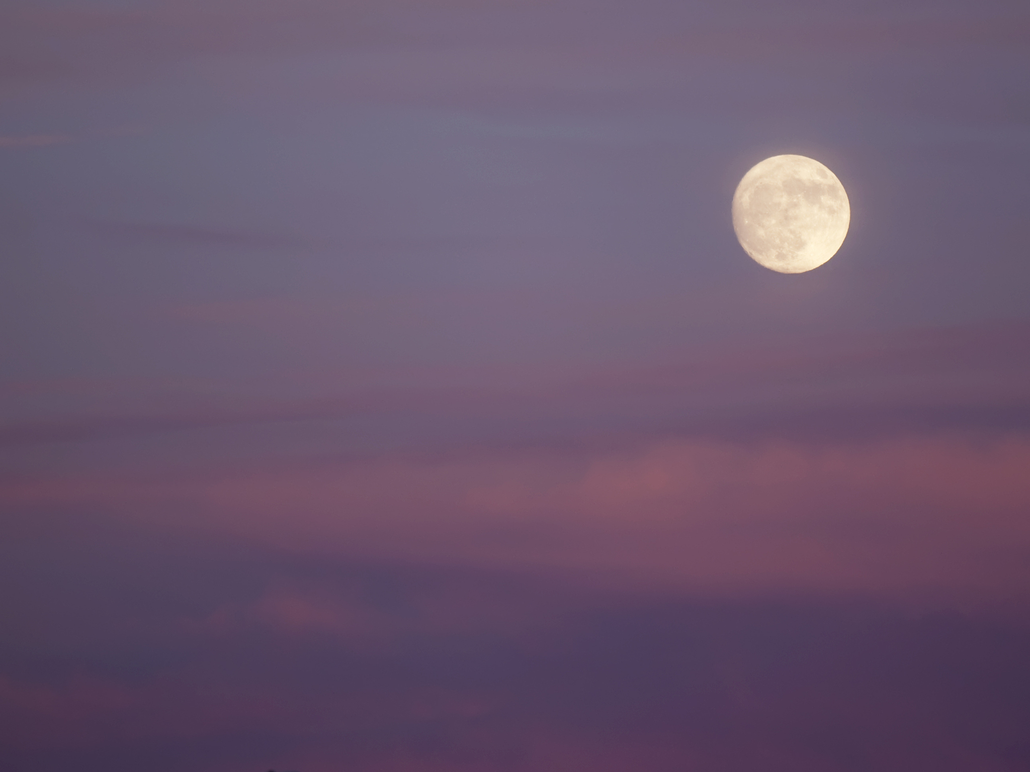 beautiful sky with pink clouds and full moon