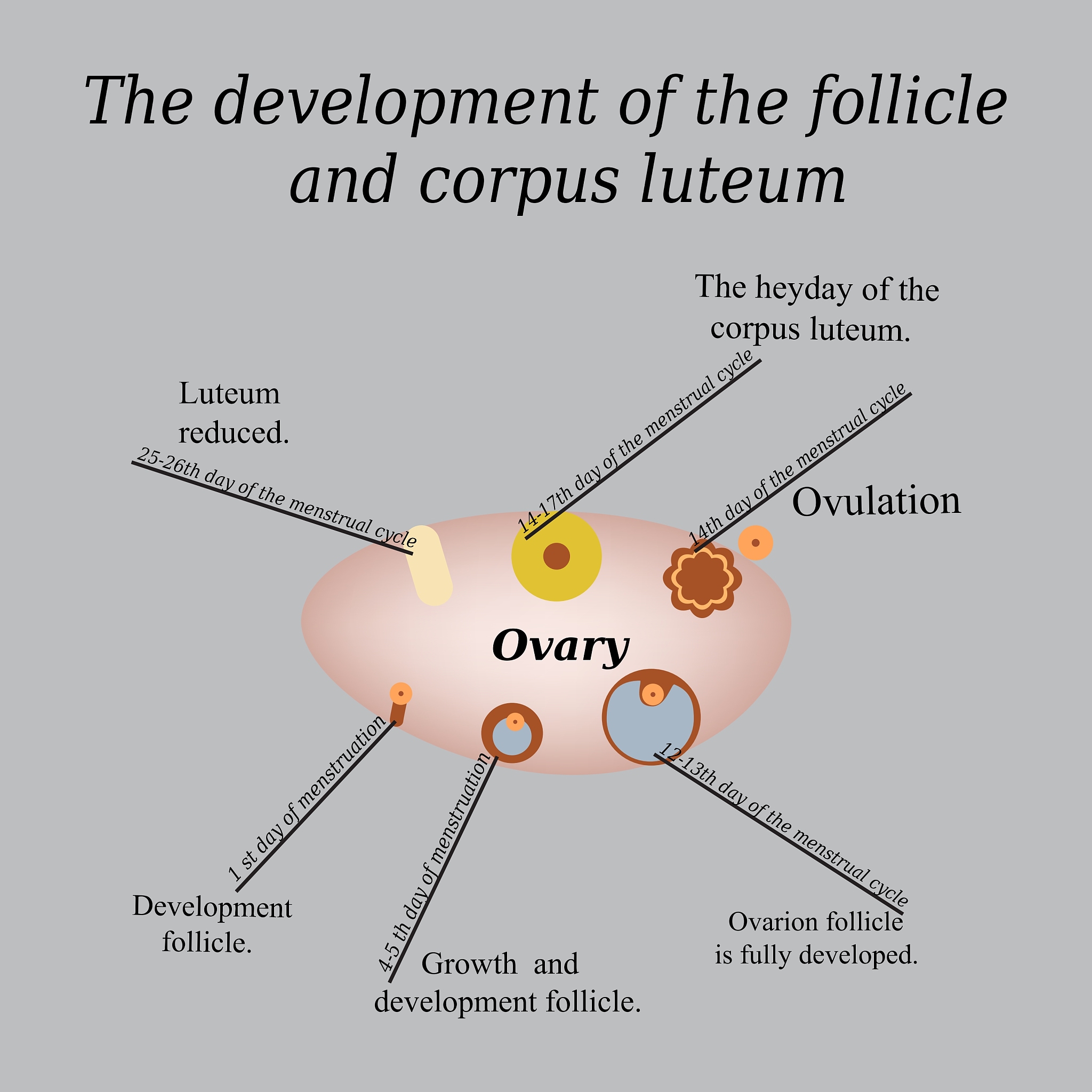 A Deep Convolutional Neural Network For Diagnosis of Diabetic Retinopathy这篇论文的优缺点