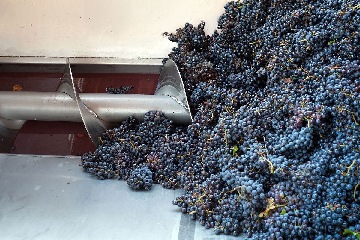 葡萄酒制作的艺术与科学：从葡萄到酒杯的奇妙旅程