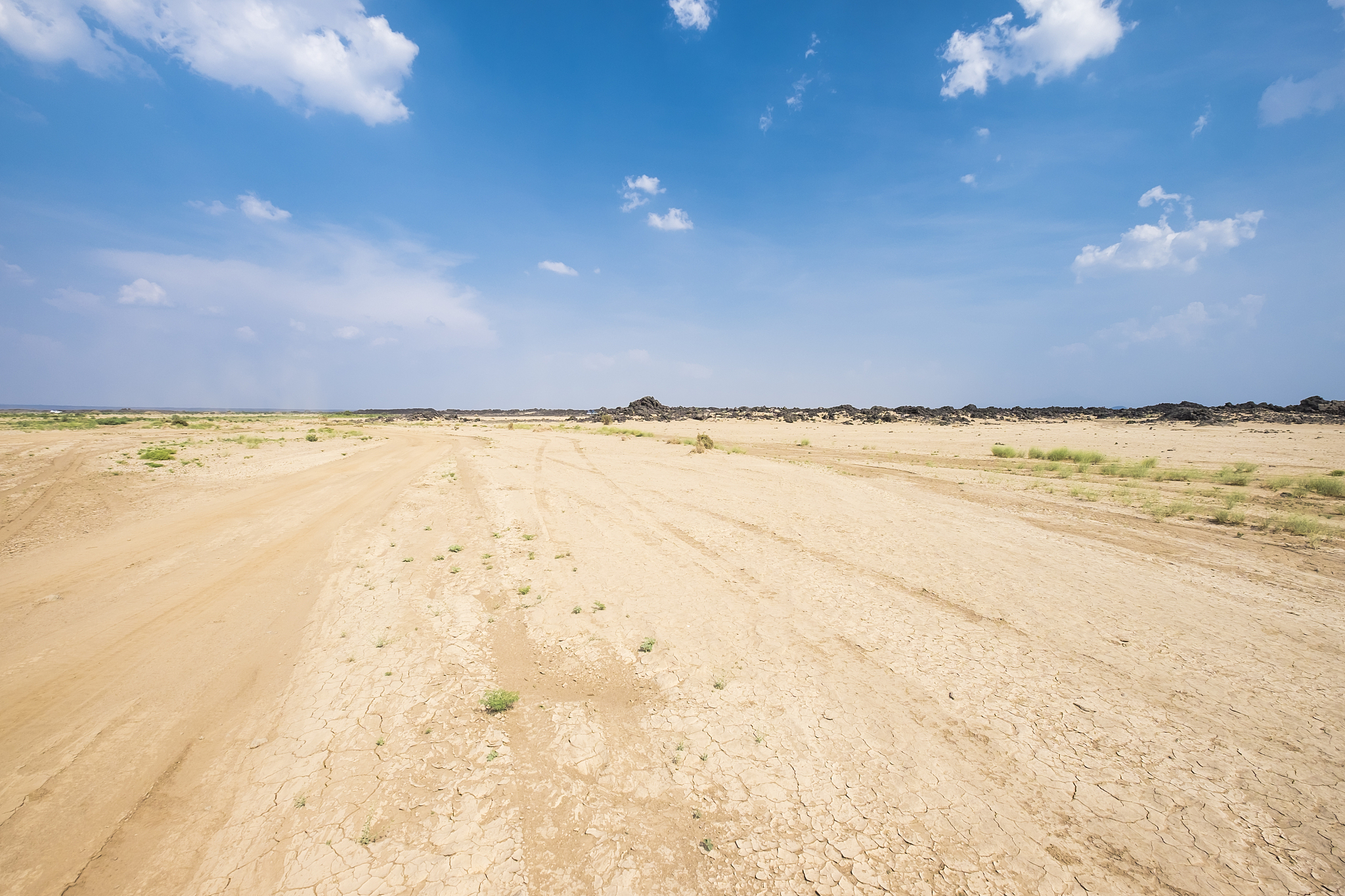 landscape of a desert