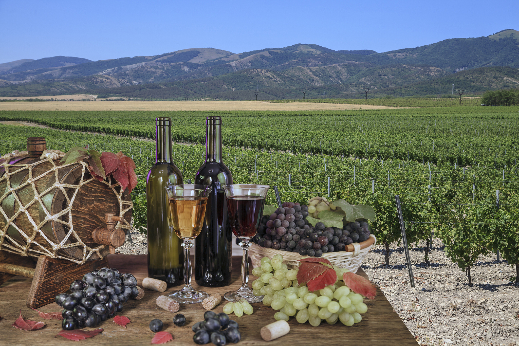 Top 10 Countries Famous for Vinegar Production