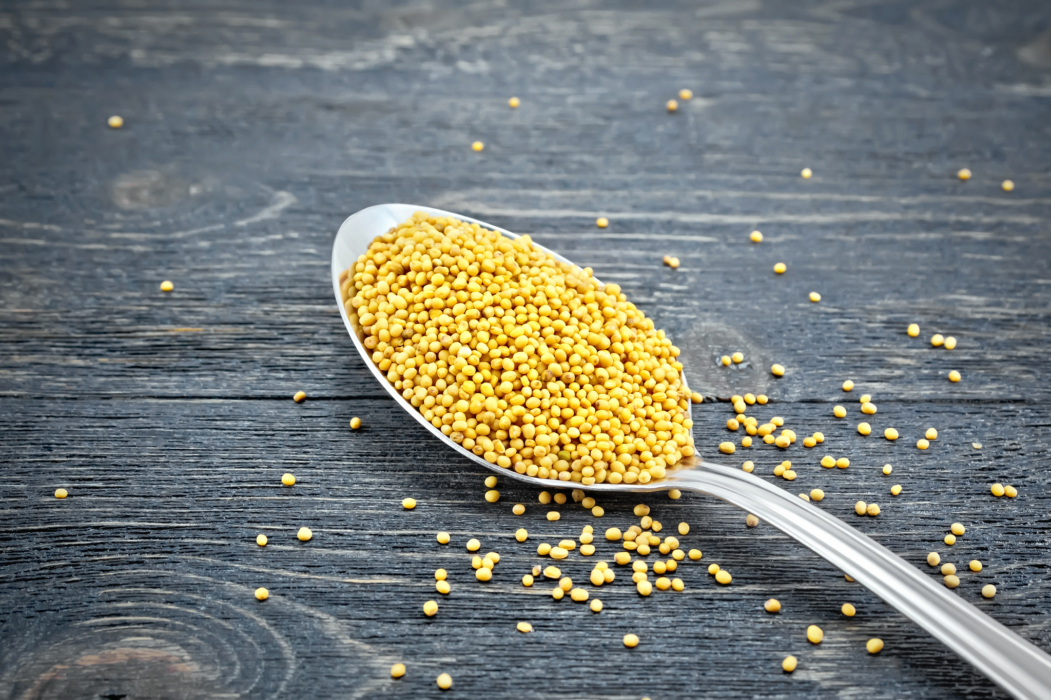 mustard seeds in metal spoon on black board