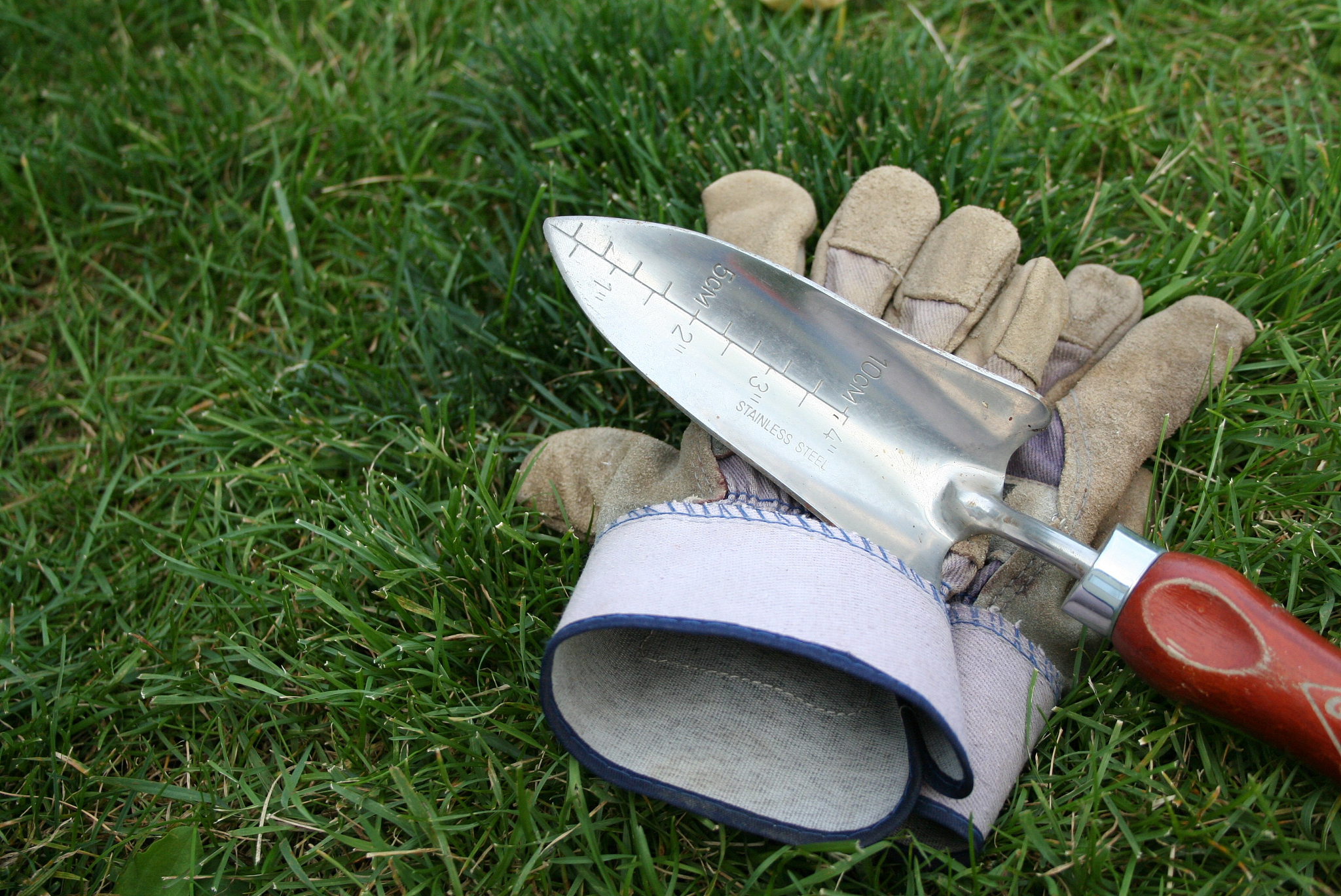 transplanting trowel
