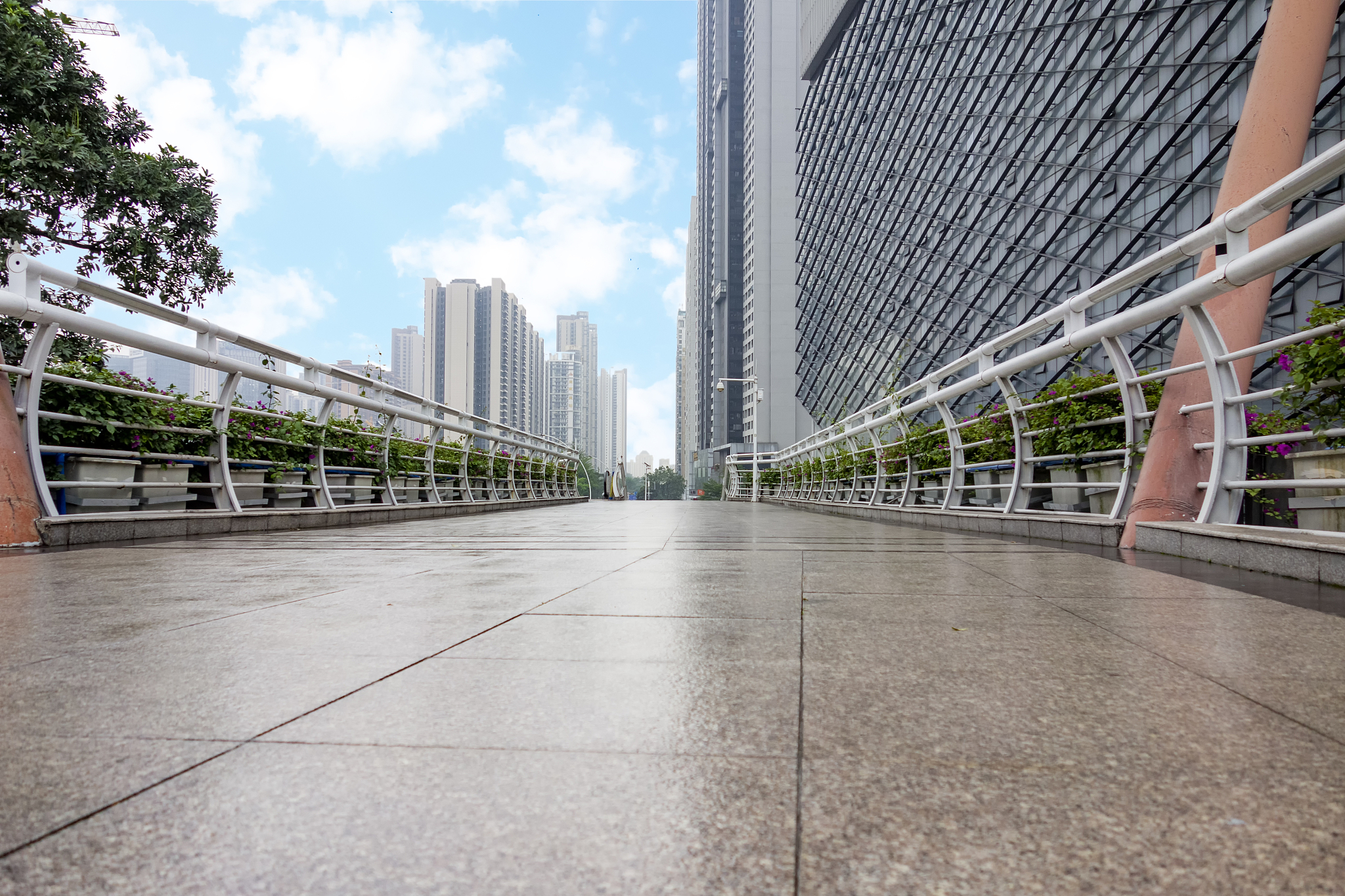 河南交通职业技术学院路政管理专业涉及哪些课程