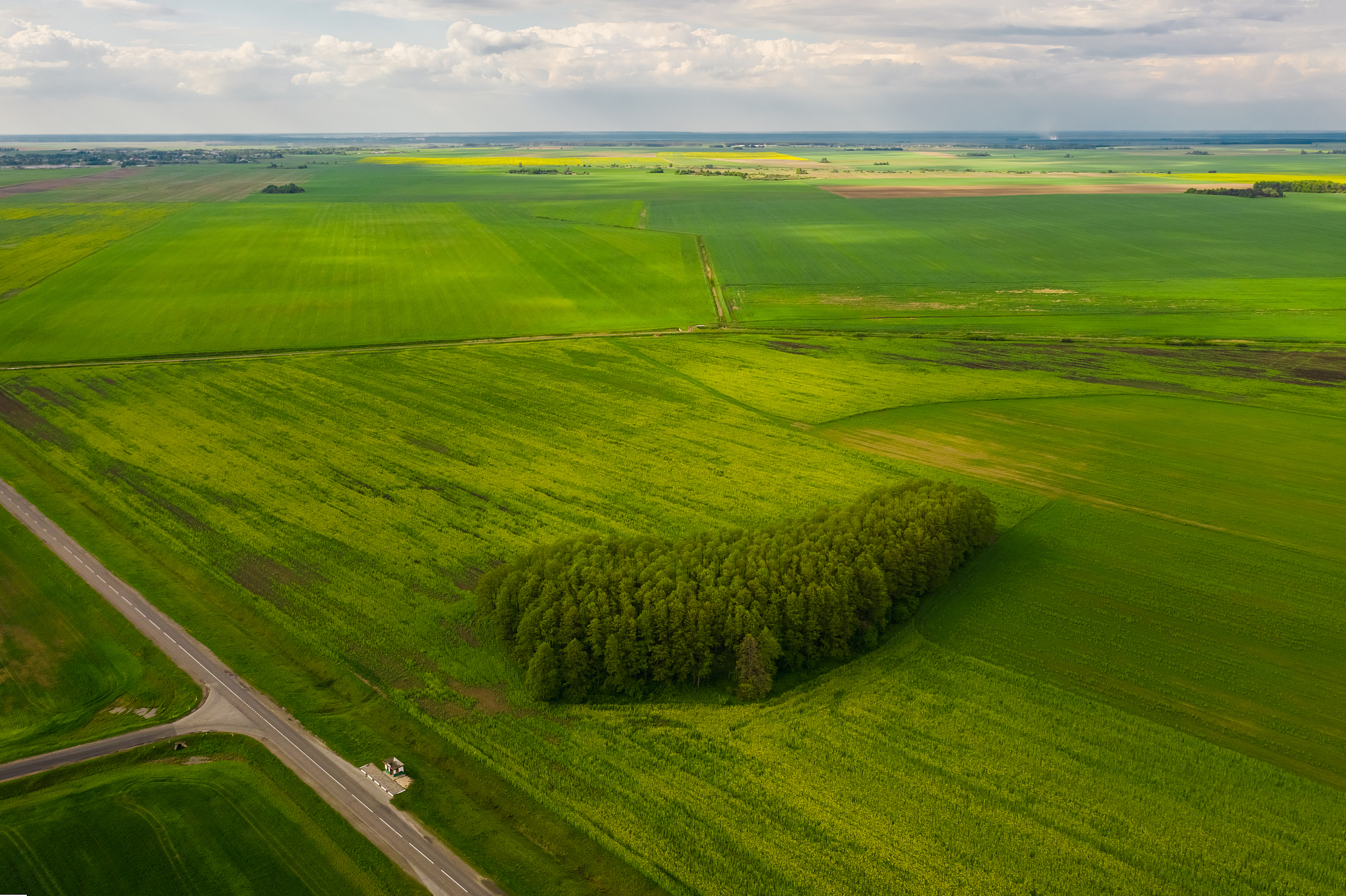 picturesque green fields of belarus. aerial view