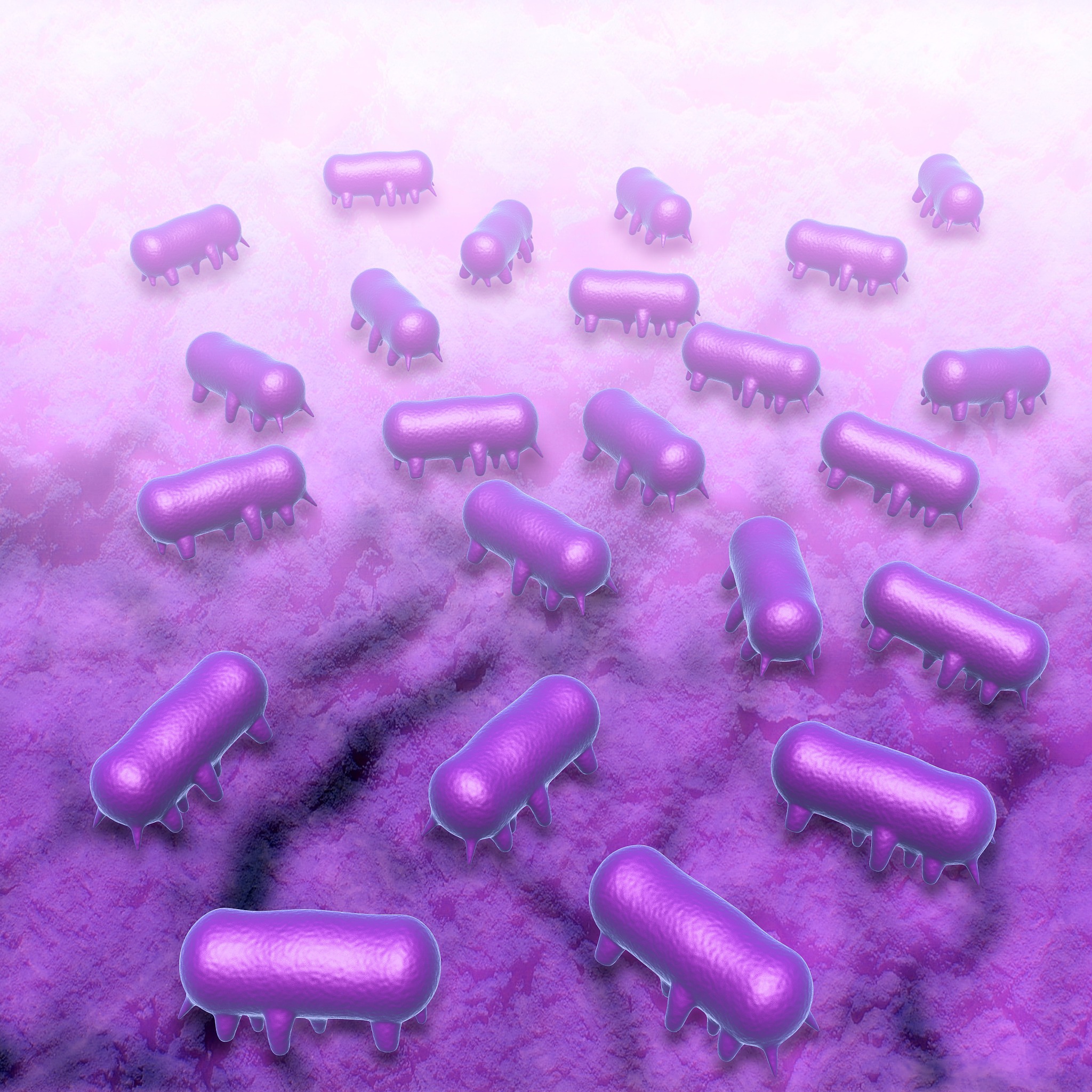 你好我要写一个实验报告请你帮我可以吗？当然可以请问你需要我帮你哪方面的实验报告呢？#标题：人体表面微生物的检测与观察 实验报告人 实验目的 实验步骤重要前期准备培养基灭菌等过程使用器材药品操作等 实验结果描述菌落形态大小分布等等 讨论分析好的以下是一个可能的实验报告范例：标题：人体表面微生物的检测与观察实验目的：本实验旨在通过采集人体表面样本利用培养基和相关技术检测和观察微生物的种类和数量以了解人