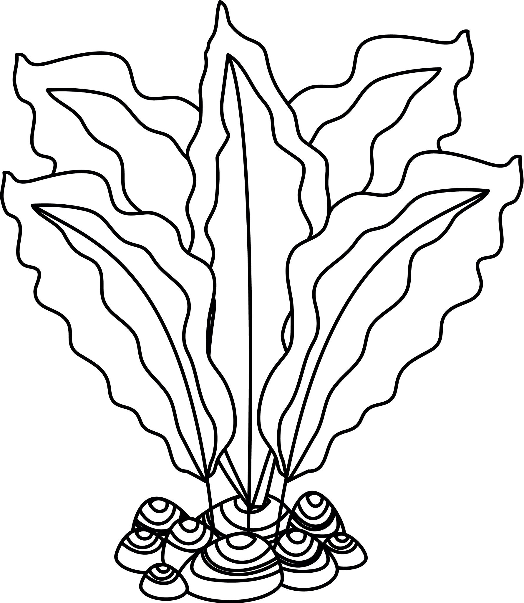 aquarium decorative seaweed icon