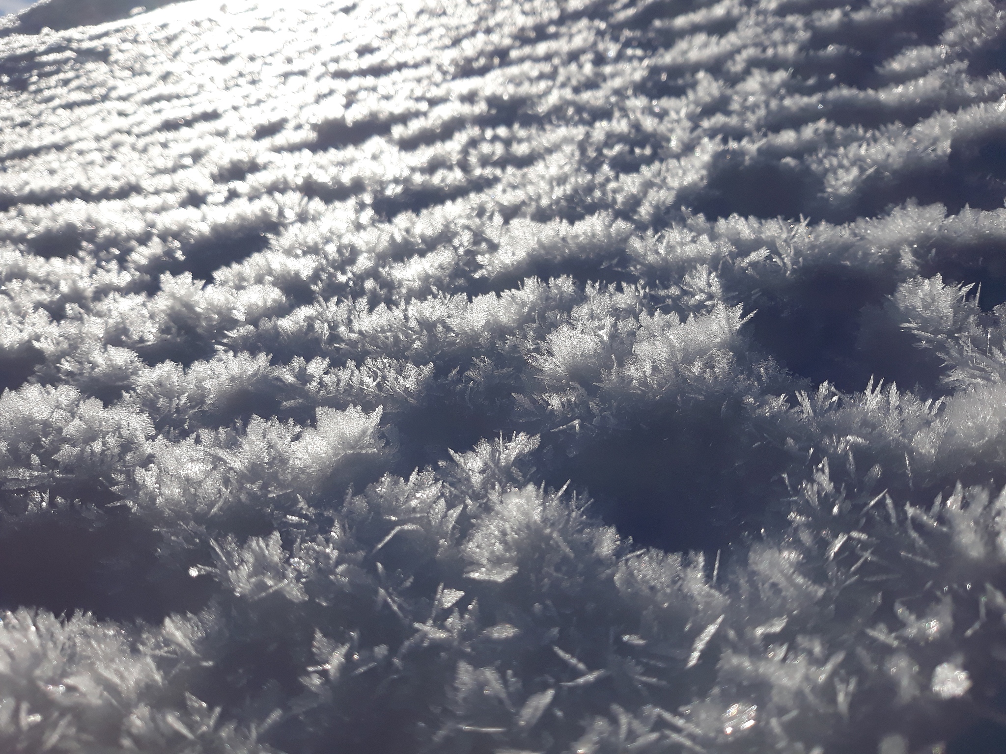 用科学语言解释雪为什么是白色的