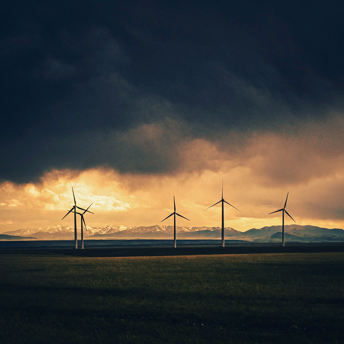 风暴群组 - 交流风暴相关话题