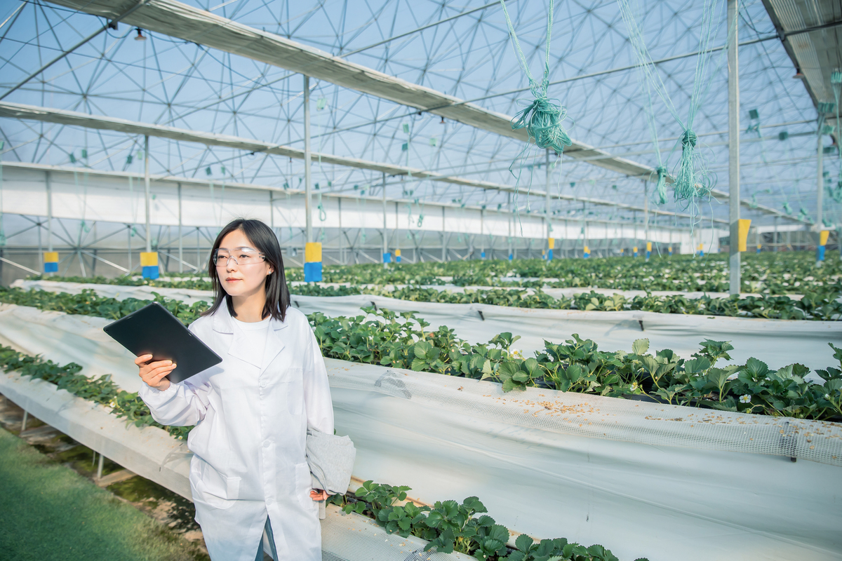 山东农业大学研究院：优势、学科、研究方向及社会服务