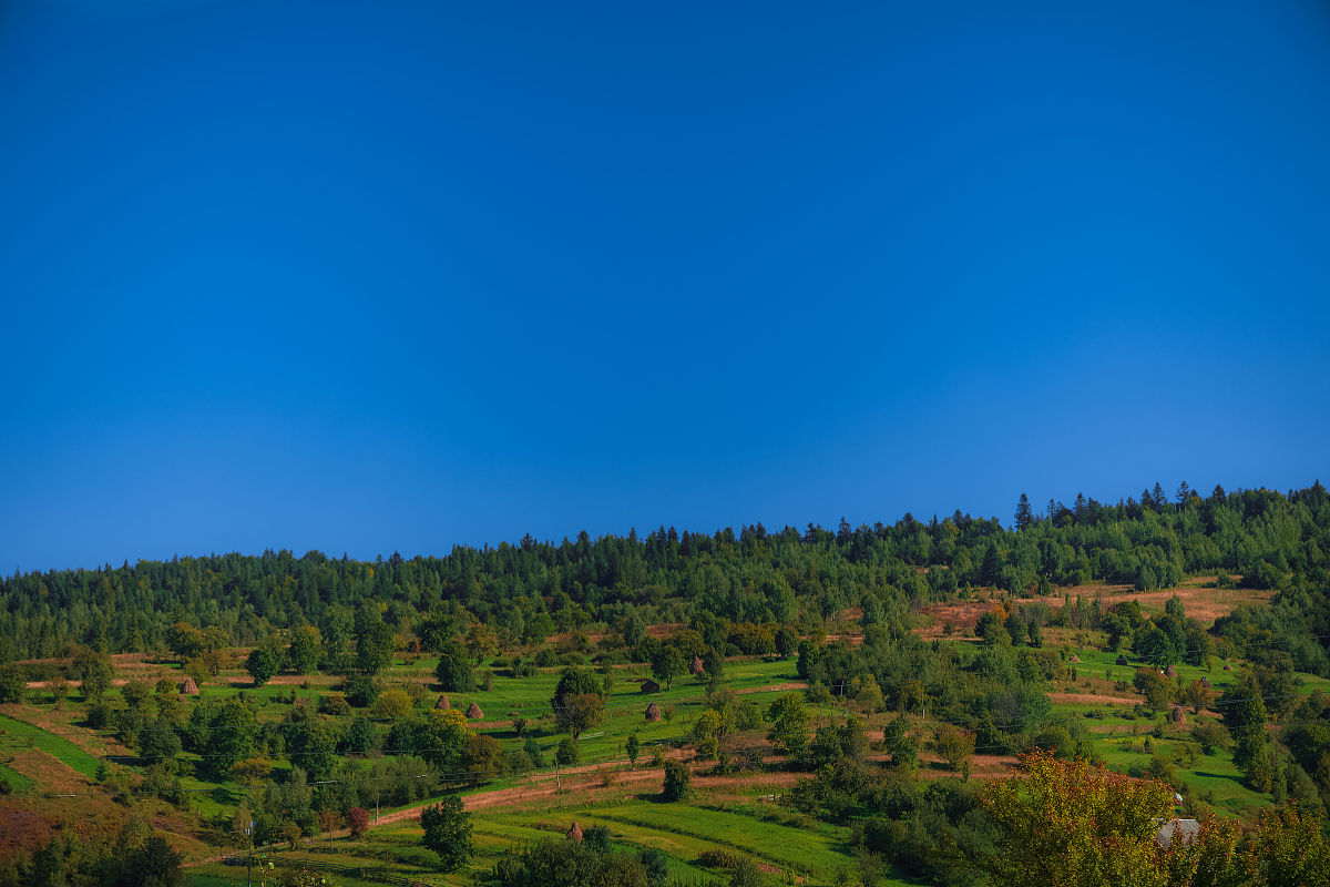 写一首向陶碧莹表白的诗