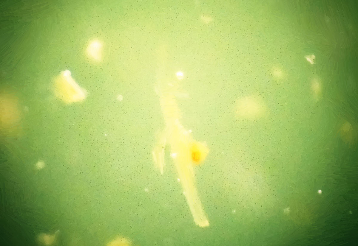 水的化学物理性质及用途：生命之源，地球之宝