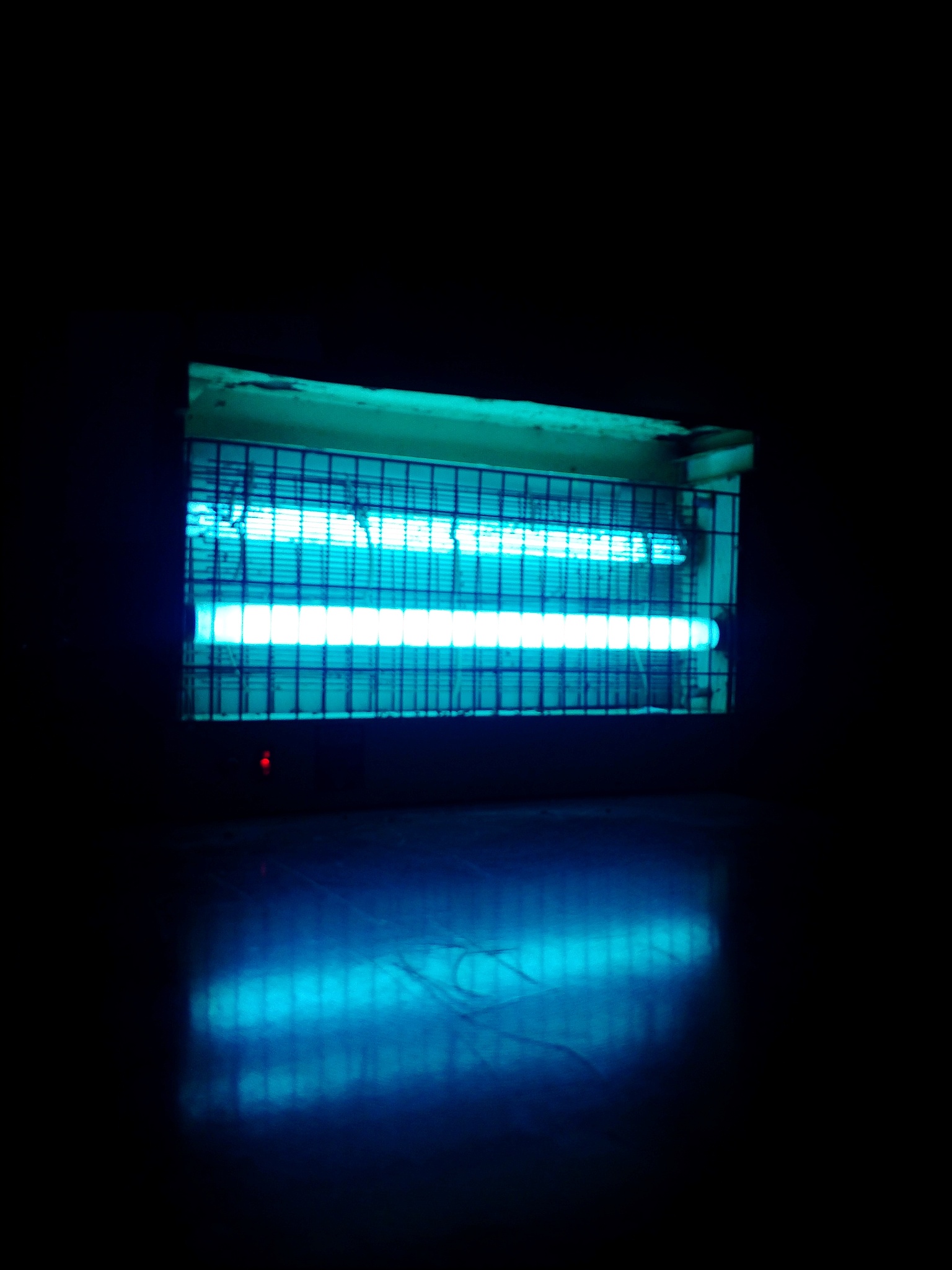 100 LED String Lights Watering Can Light Solar Powered Decorations Reviews: Magical, Stunning & Delightful