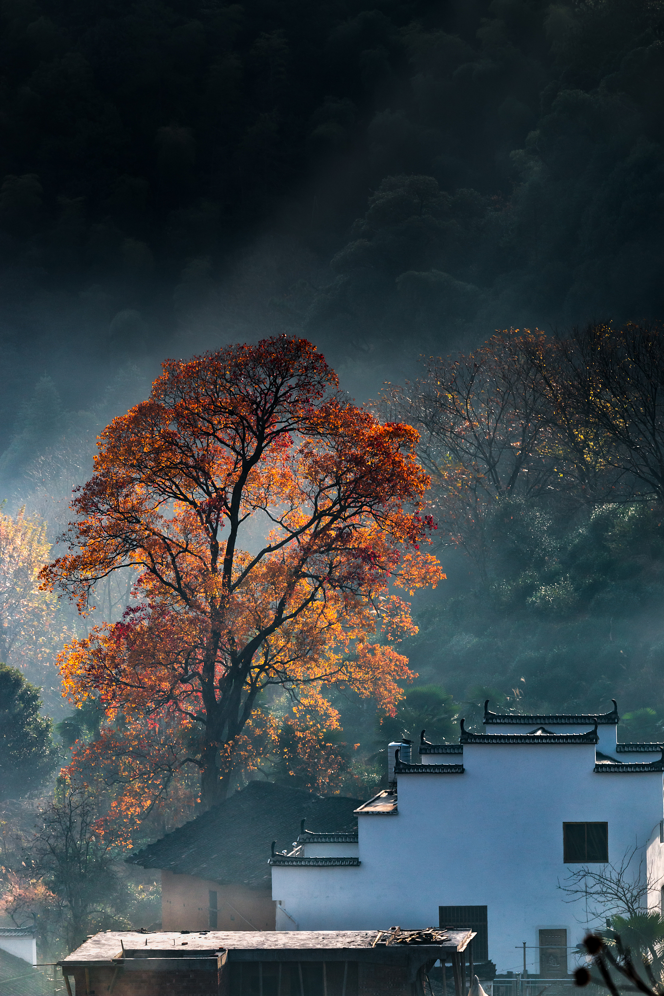 请用100字描述篁岭日落倒映河面的场景
