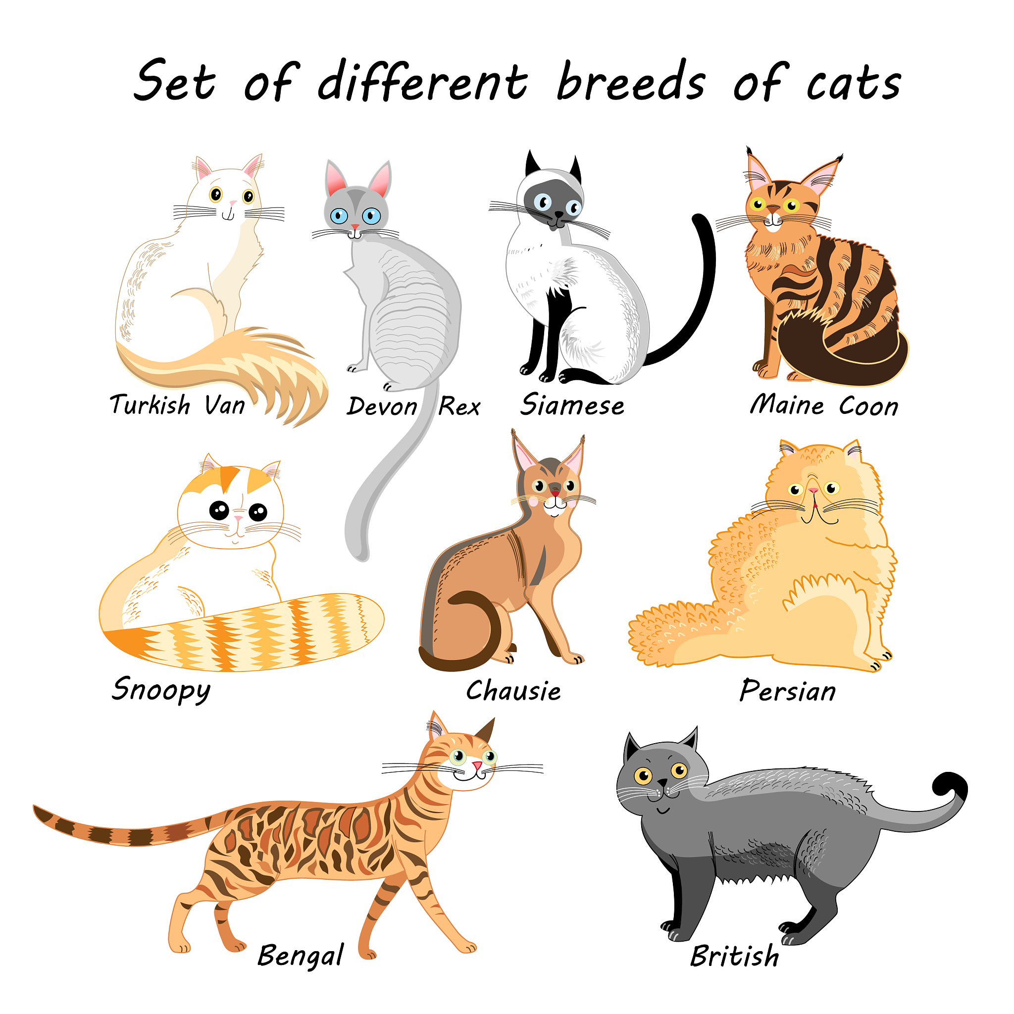 Top 10 Popular Girl Cat Names: Cute & Unique Options