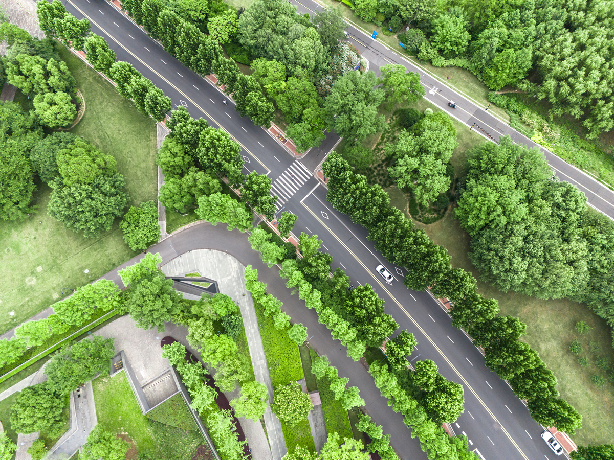 合肥蜀山区科学岛路设计特色 不少于600字