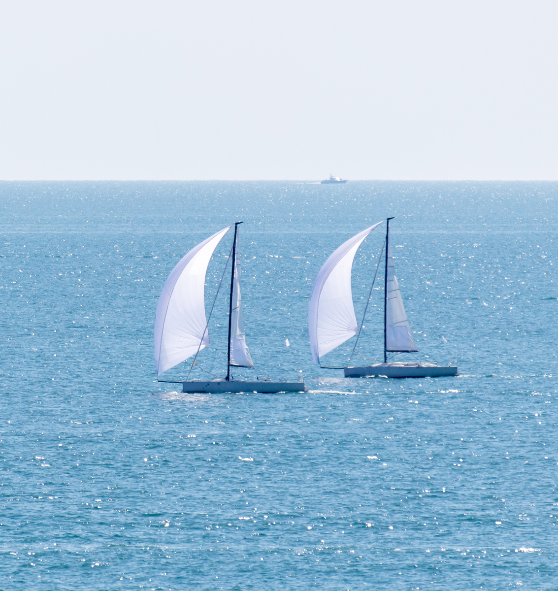 以沧海为舟：人生的勇敢航行