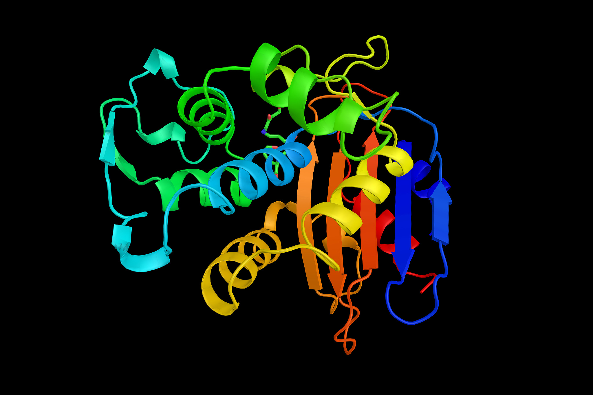 根瘤菌与生物化学