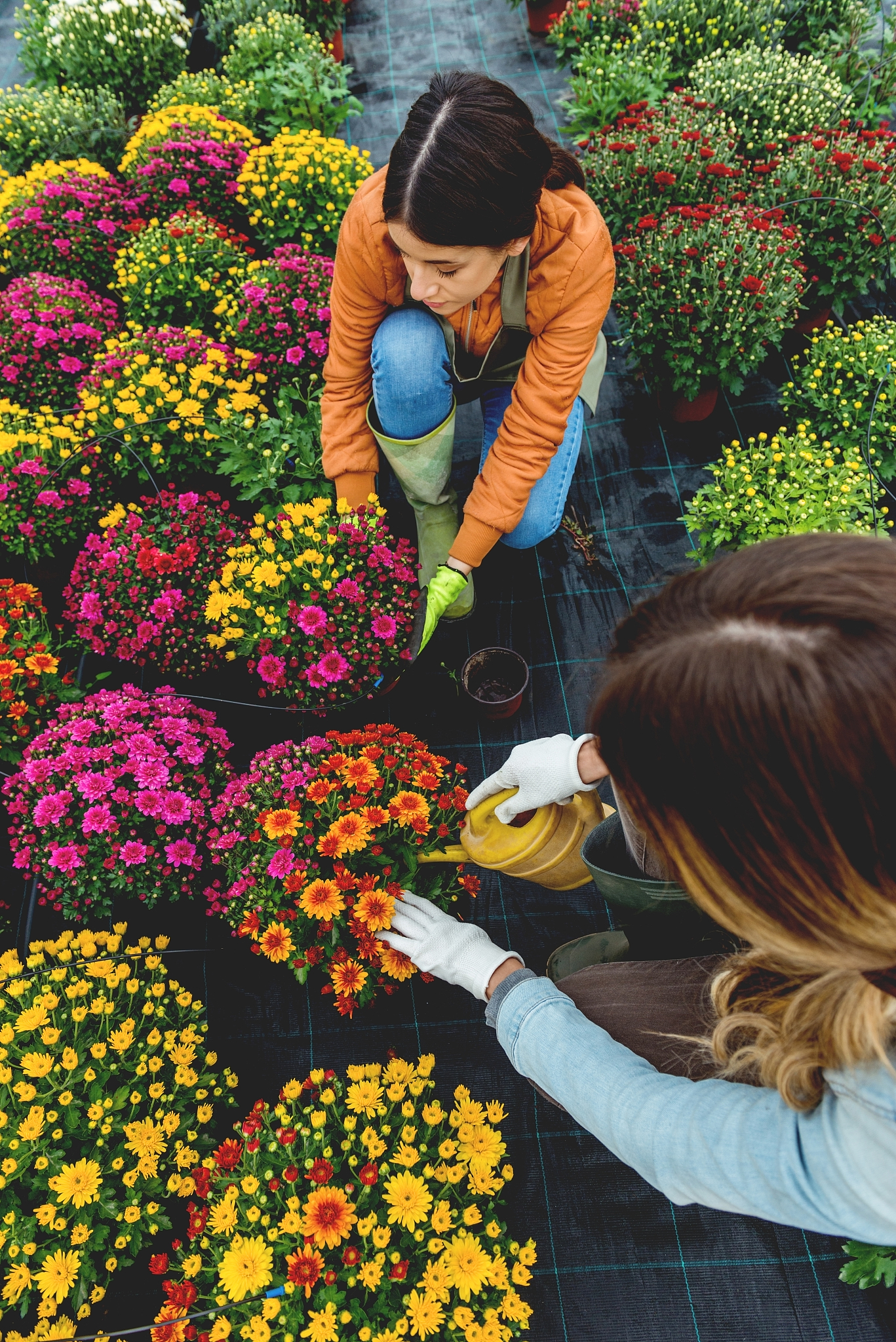 潍坊工程职业学院植物保护与检疫技术专业可以选择哪些就业方向