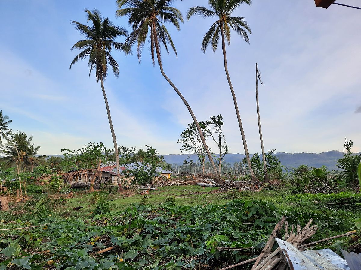 台风天提前至4点下班是通知