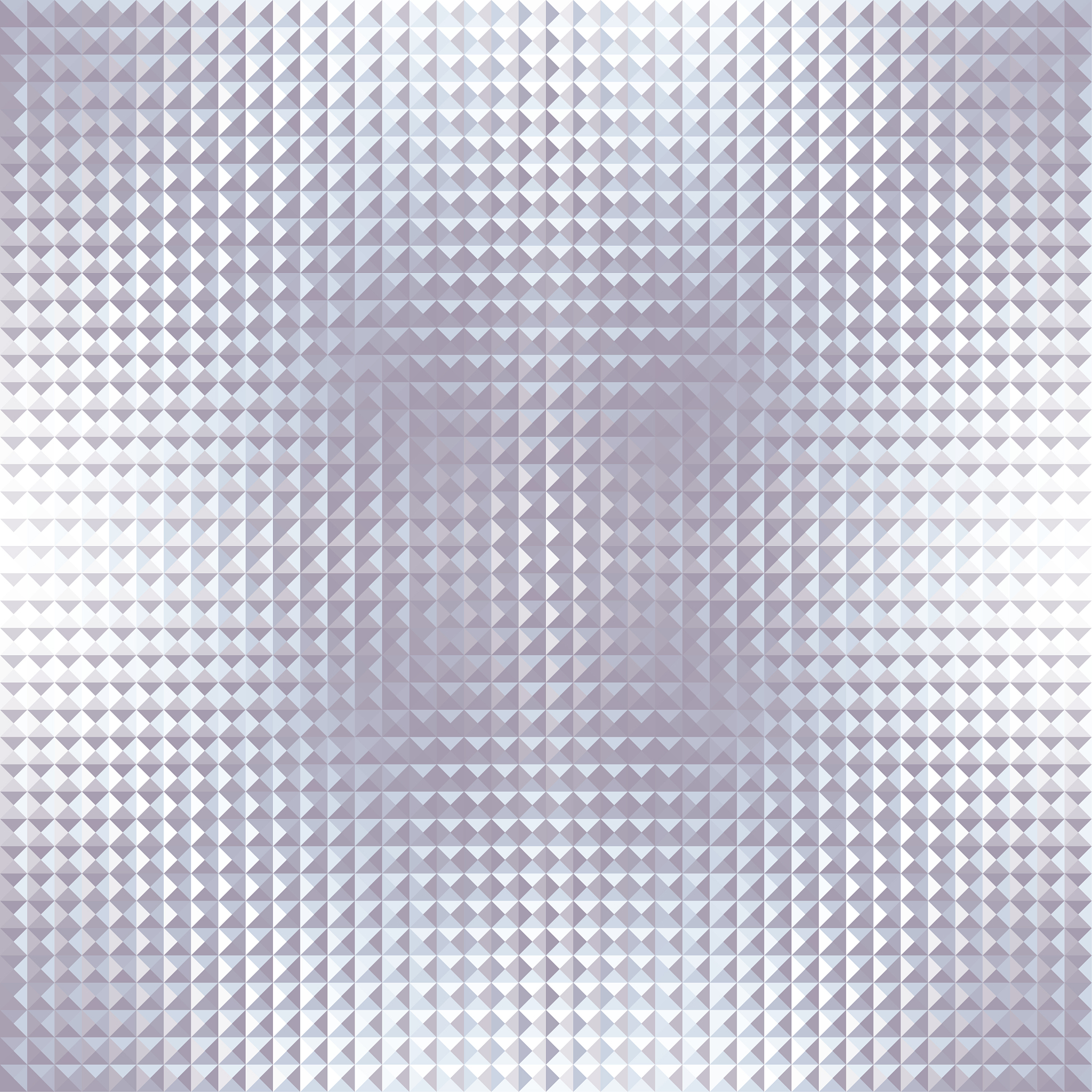 图形平移和旋转后什么不变