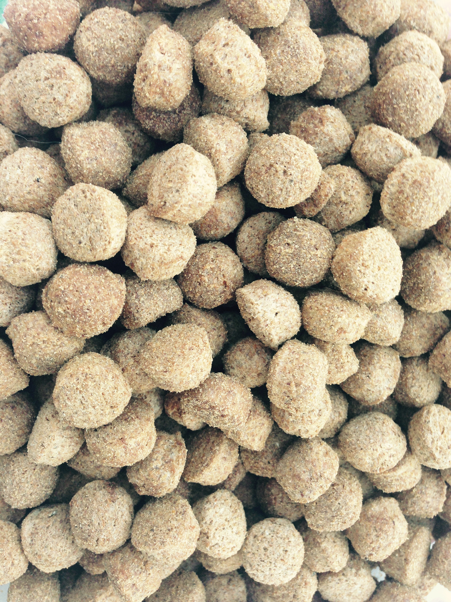 广西大学行健文理学院材料成型及控制工程专业怎么样