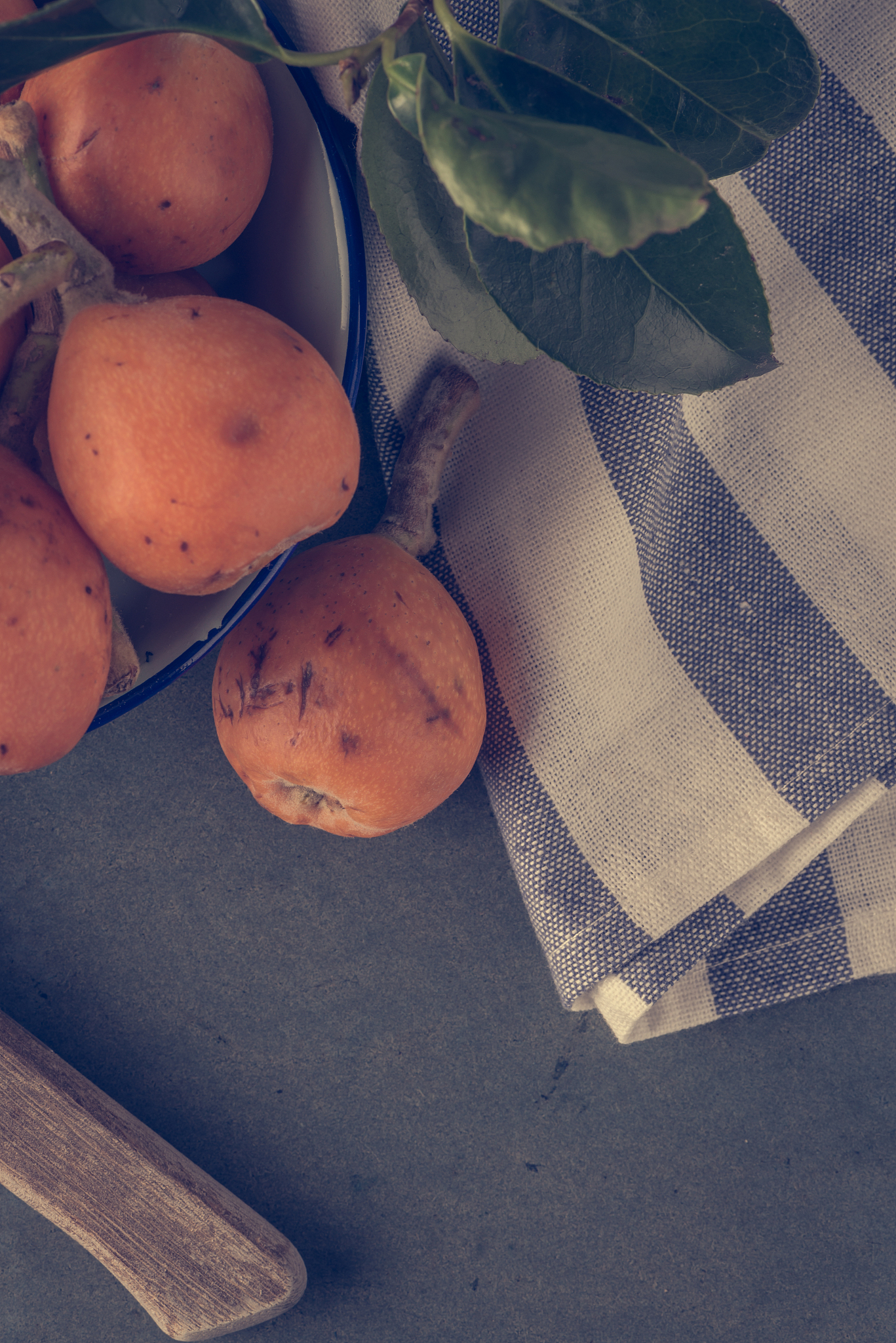 金果兴农团队：枇杷次果变废为宝，助力乡村振兴