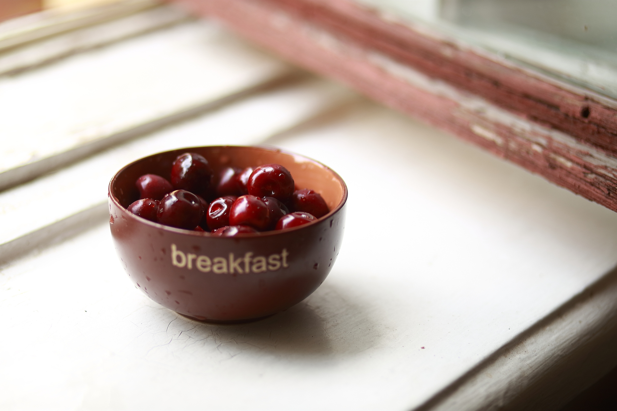 广东贸易职业技术学校食品生物工艺专业怎么样