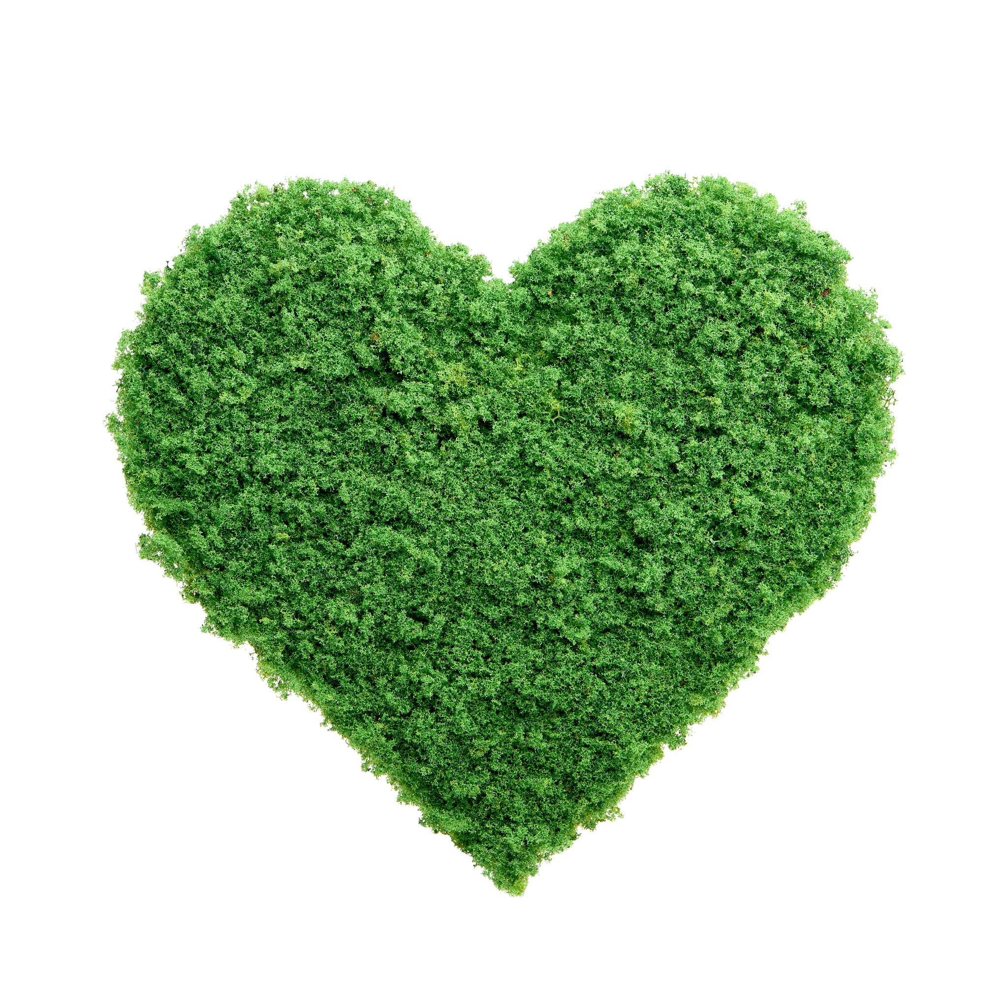 生态环境保护：维护自然平衡，守护美好家园