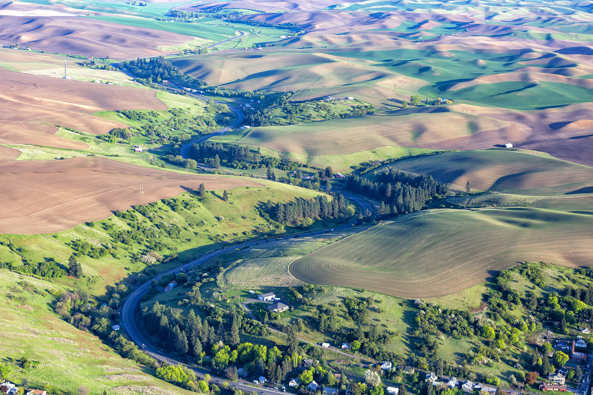 aerial view of wheat fields with patterns in palouse, washington