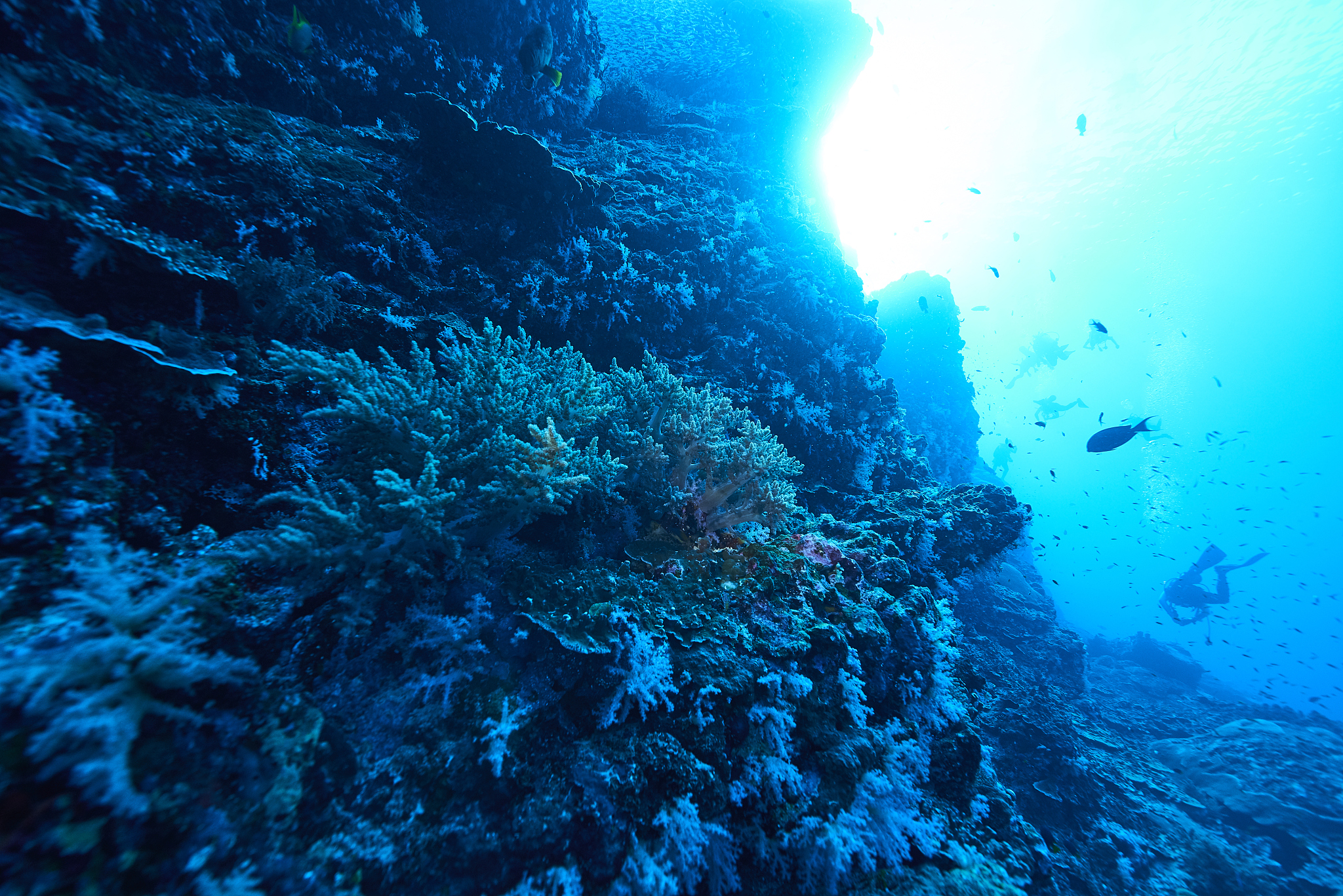 underwater