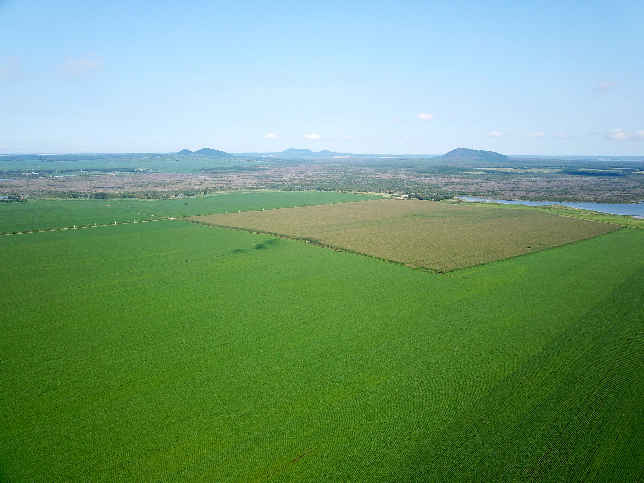 黑龙江农业经济职业学院财务管理专业专业就业方向有哪些