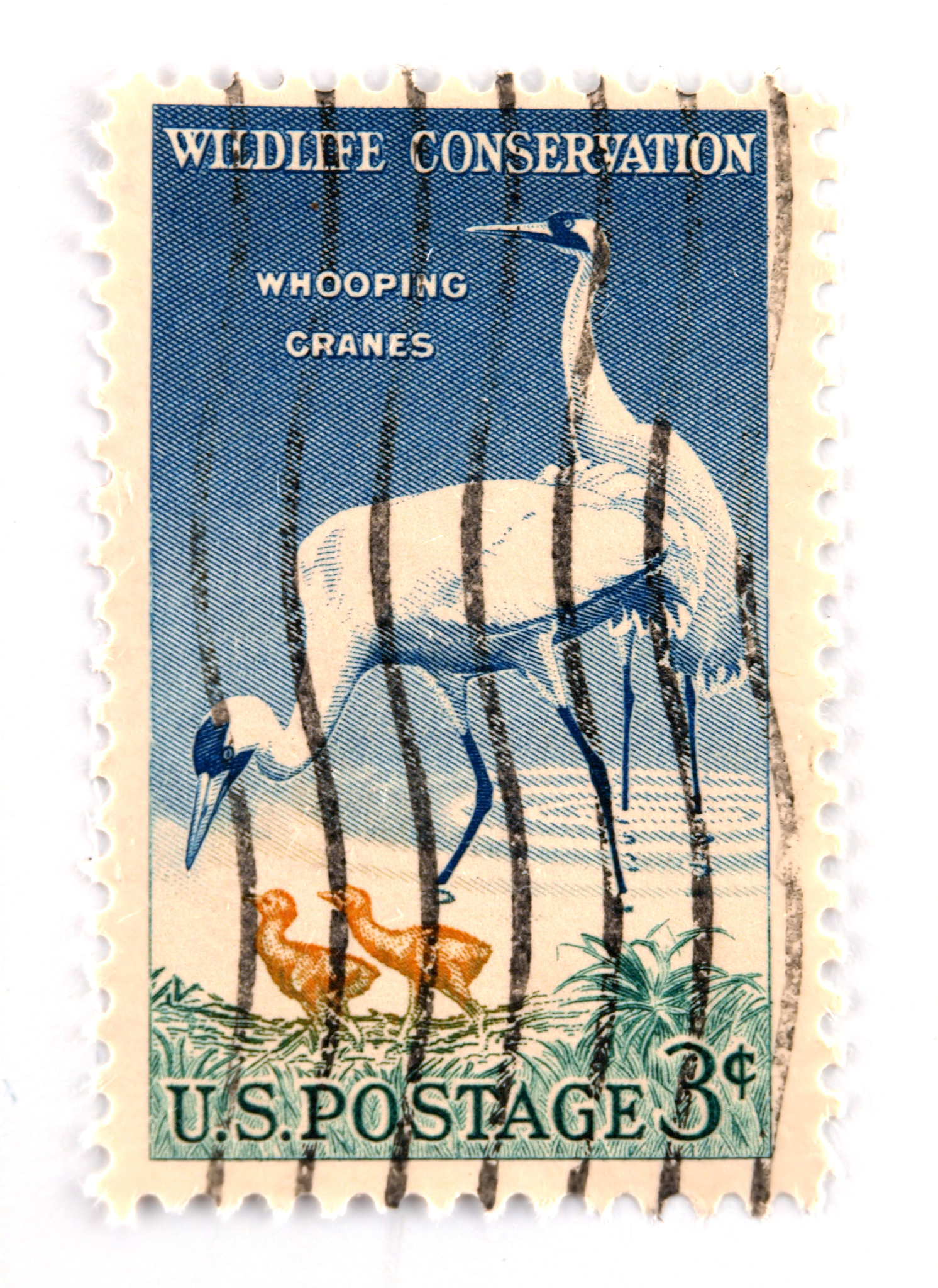 Animal Frontiers 期刊主编是谁？