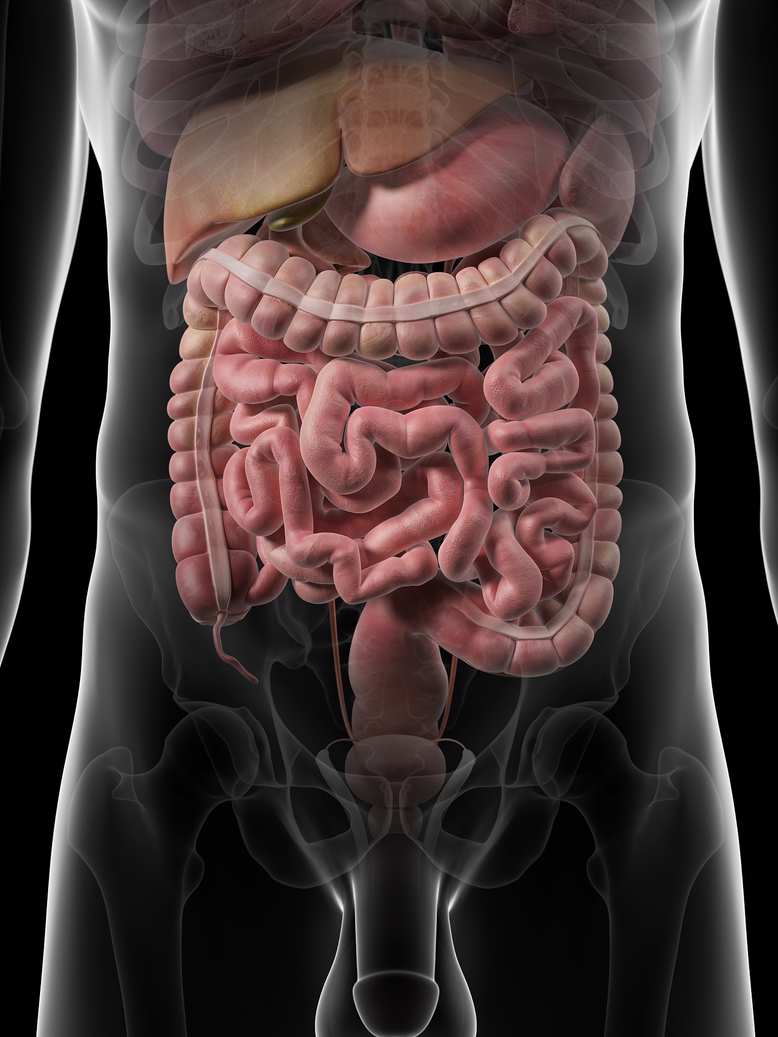 男生下腹部坠胀是什么原因