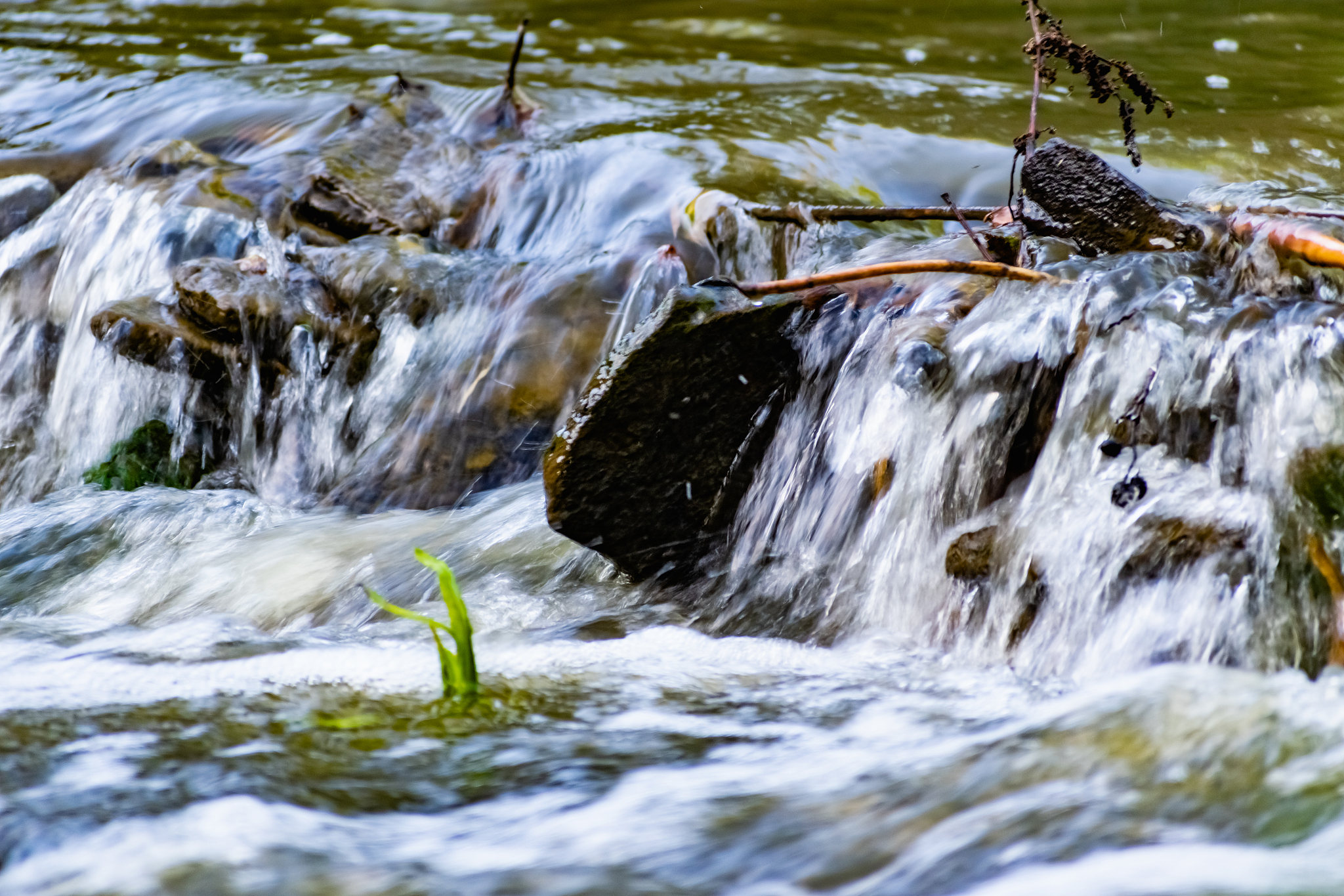 a small natural waterfall in the forest, among stones, branches 