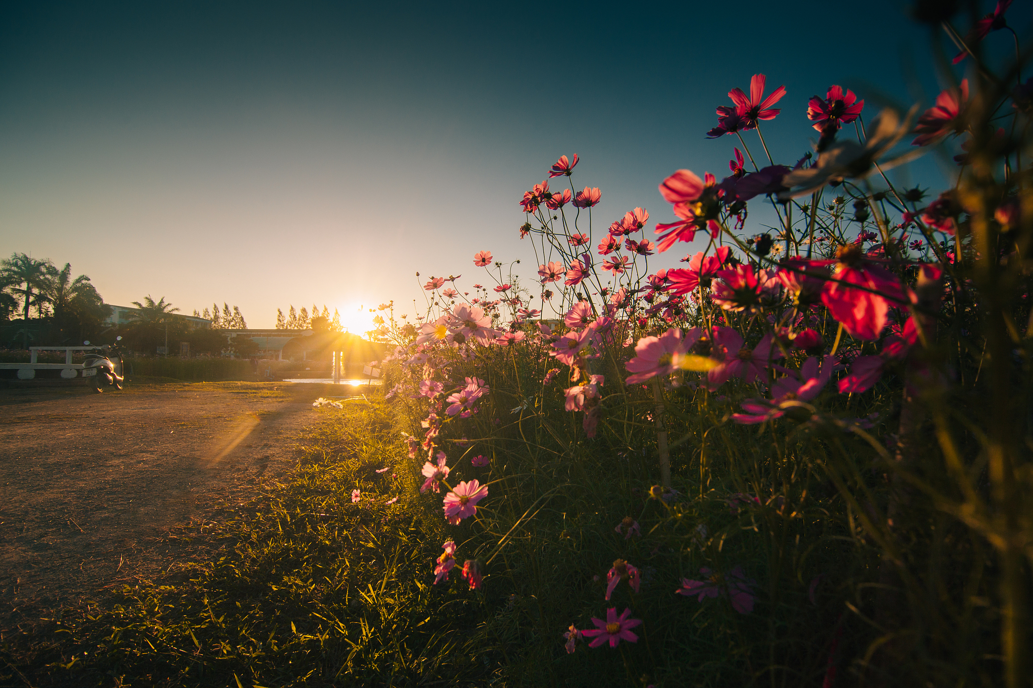 续写花夜前行8000字