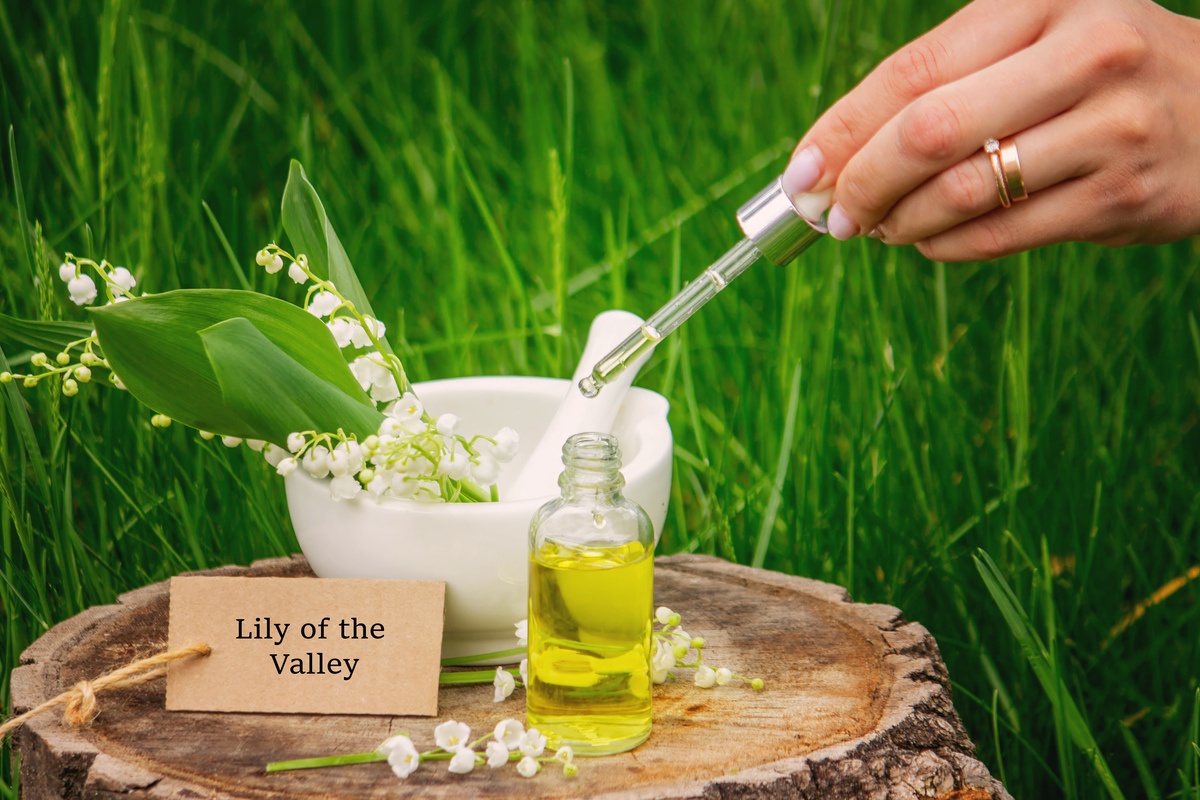 柠檬精油：天然健康产品，全方位呵护你的身体！