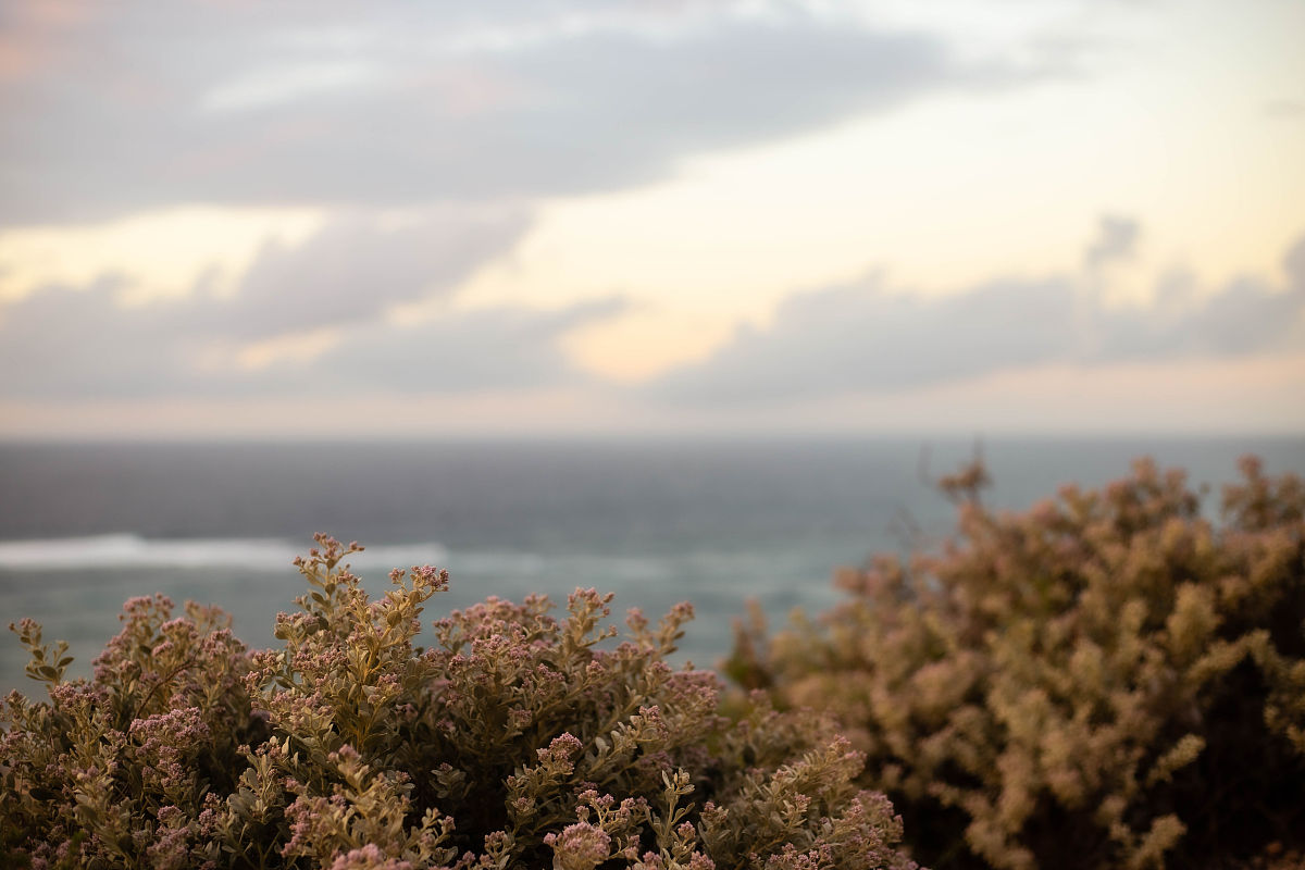 故乡游记：探访美丽小镇，感受浓浓乡情