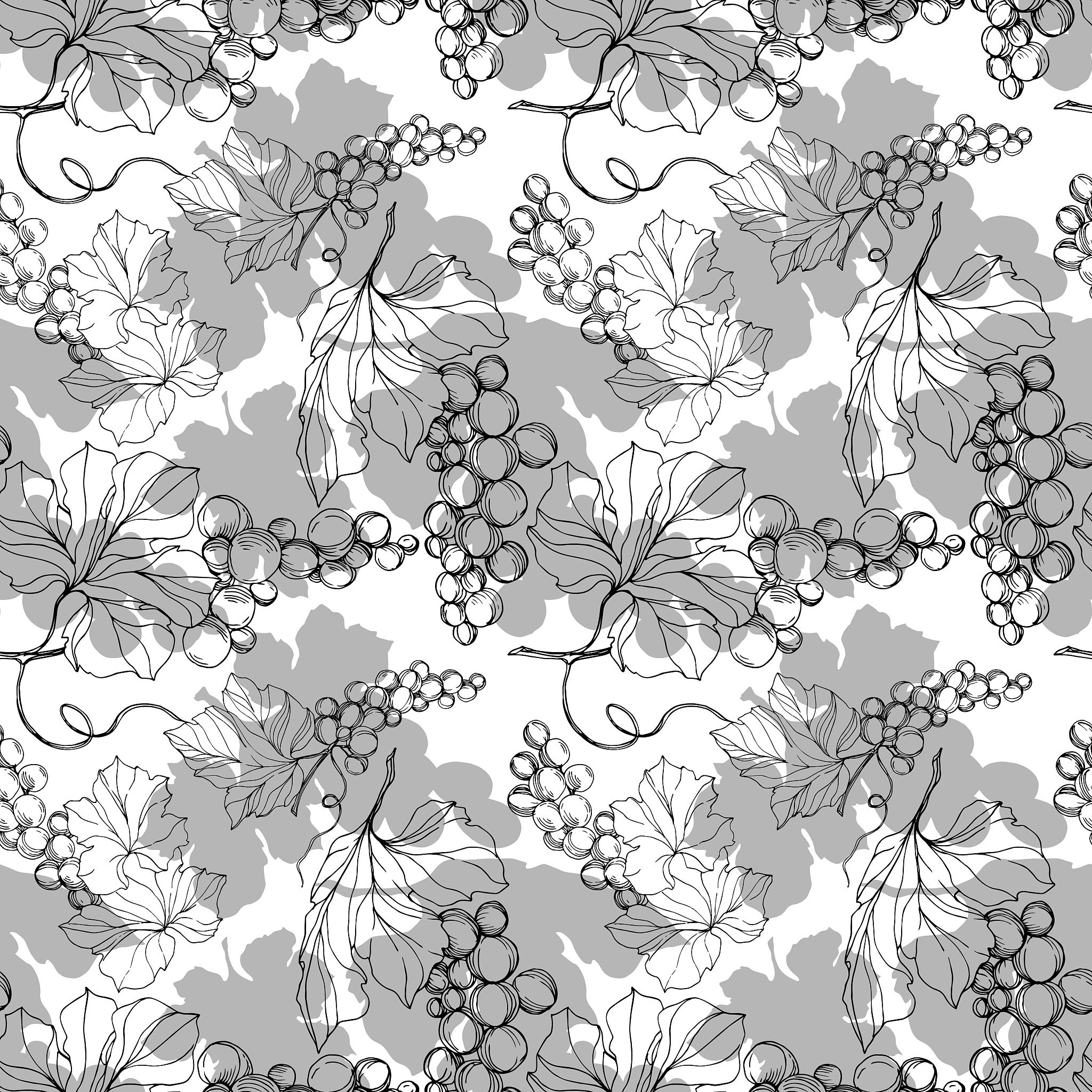 vector grape berry healthy food. black and white engraved ink ar