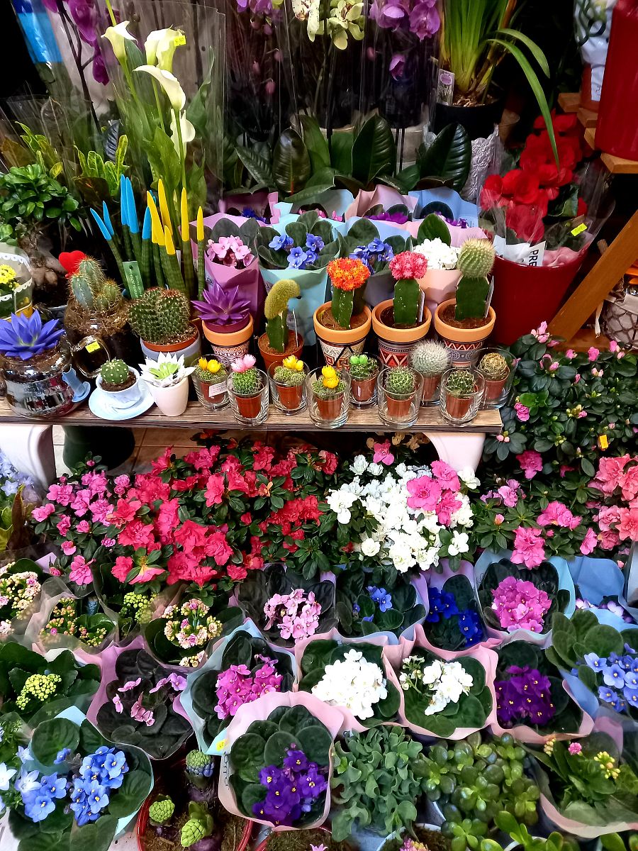 开花店需要多少钱？全面预算及开店成本分析