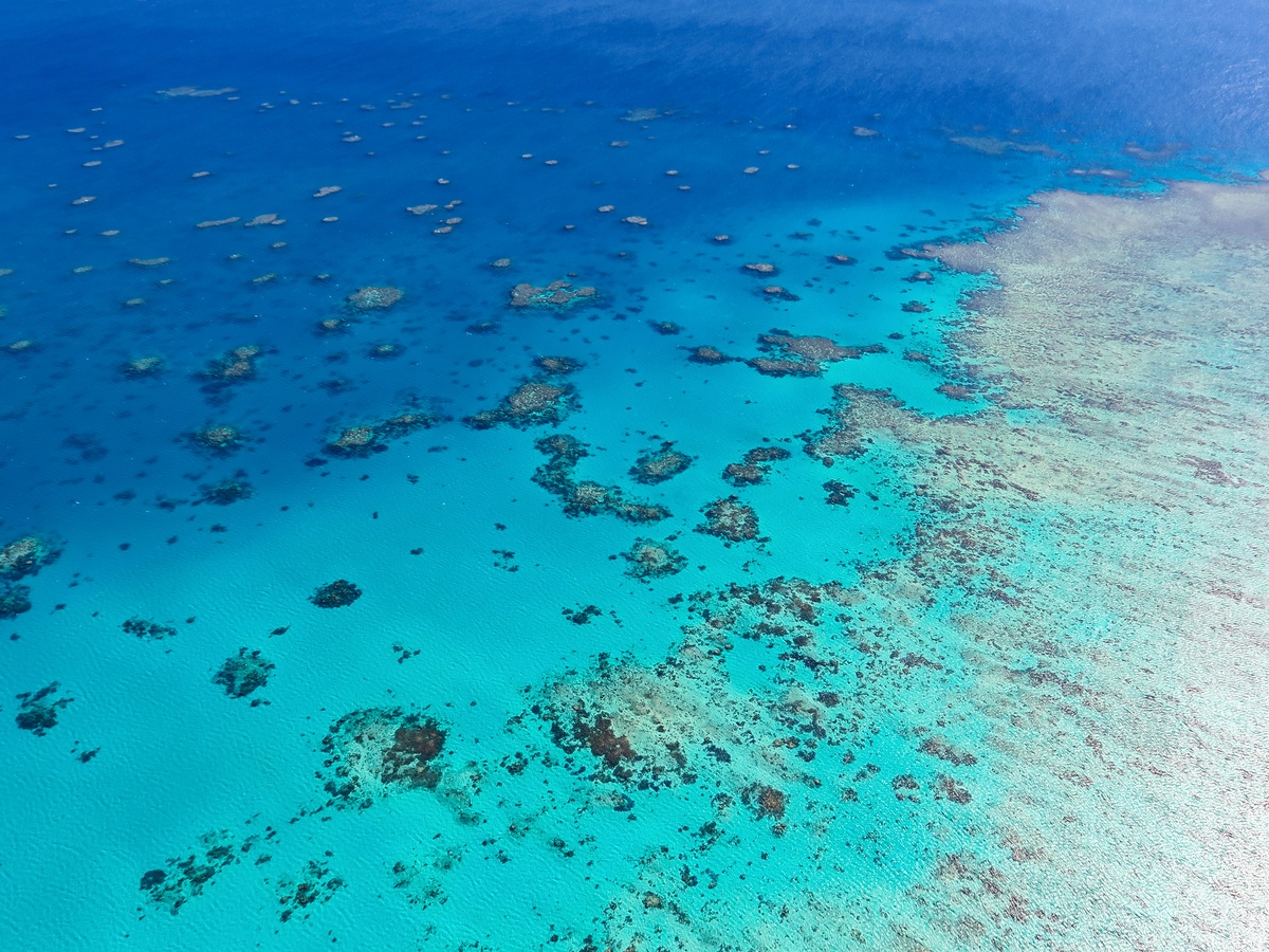 夏威夷最佳潜水地点推荐 | 探索迷人海底世界