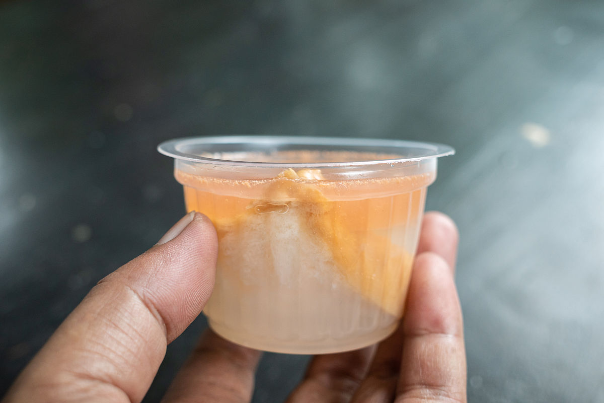 柠檬红茶牛奶冻的做法_柠檬红茶牛奶冻怎么做