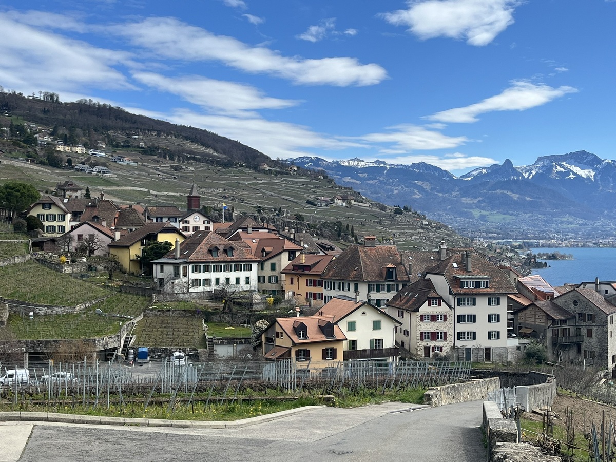 Thonex：日内瓦市郊小镇，风景优美，生活便利