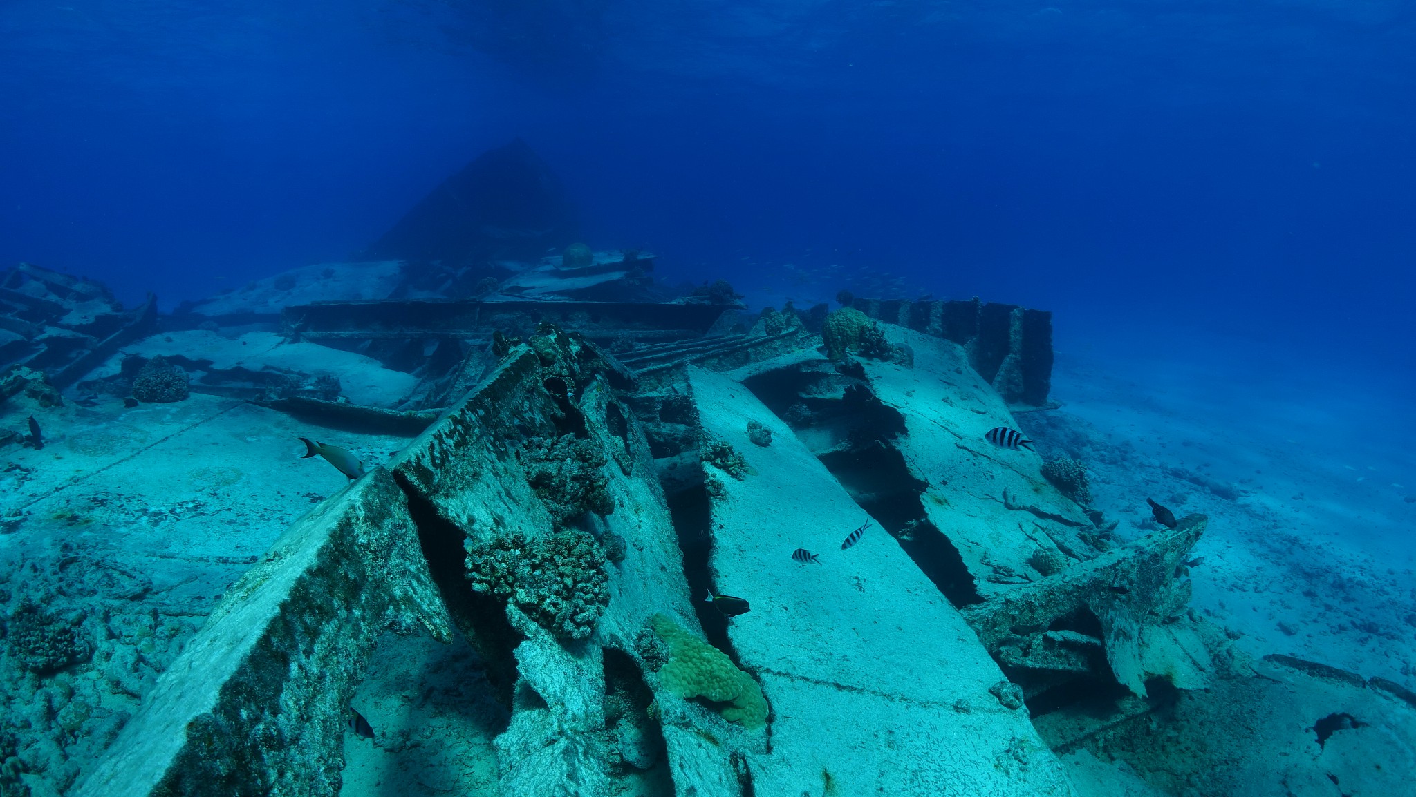 abandoned boat in sea against blue sky