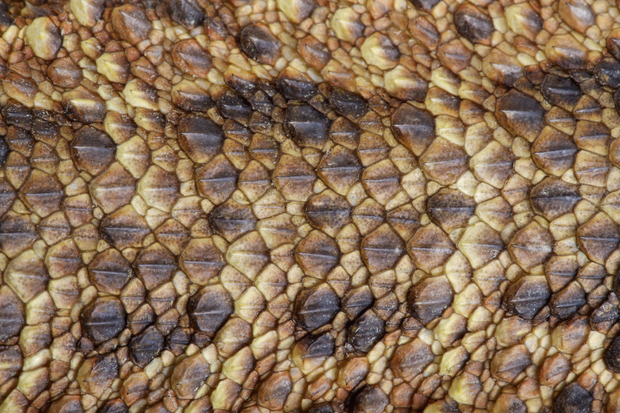 四川2022年男生上什么中专好